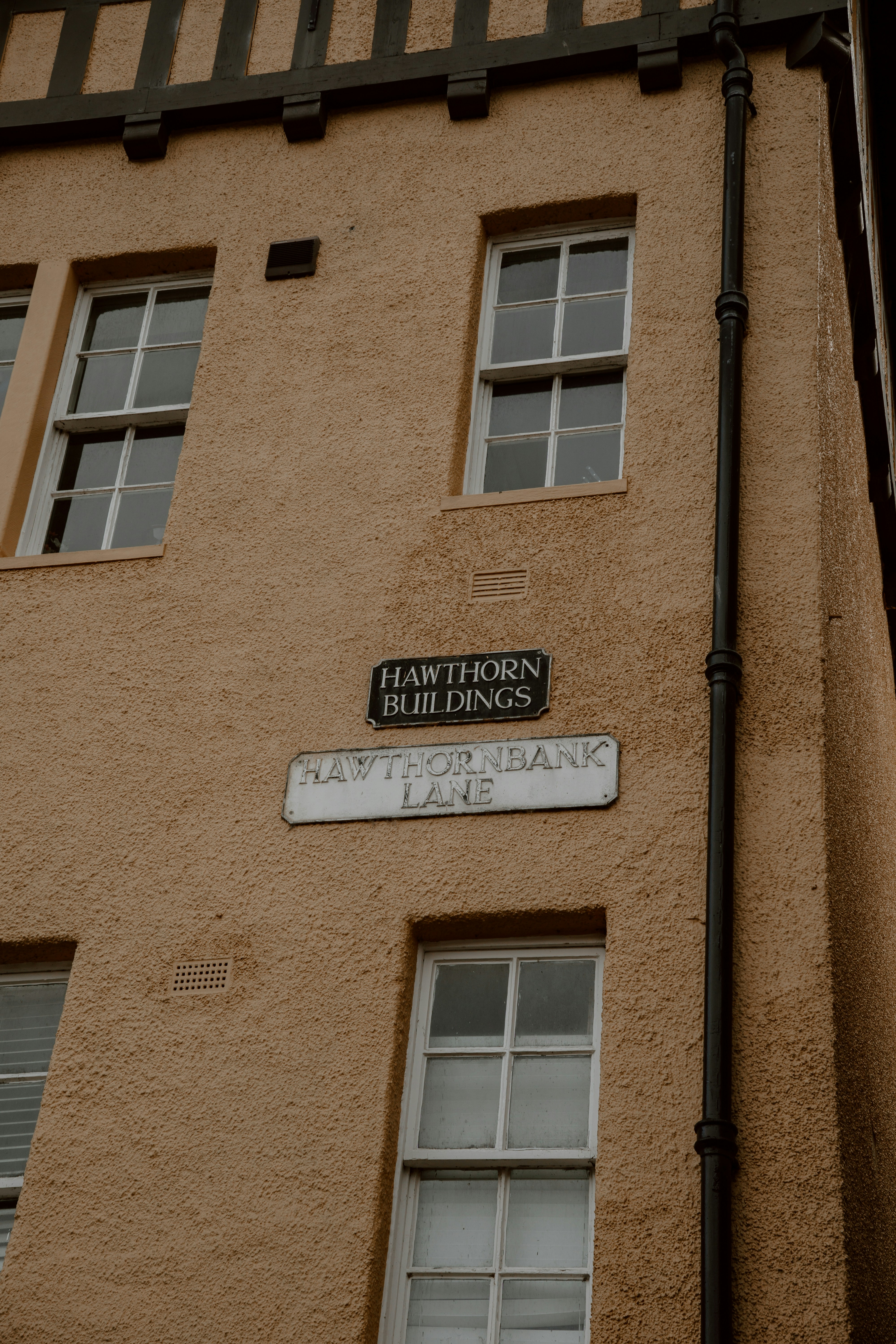 Photo by filizelaerts