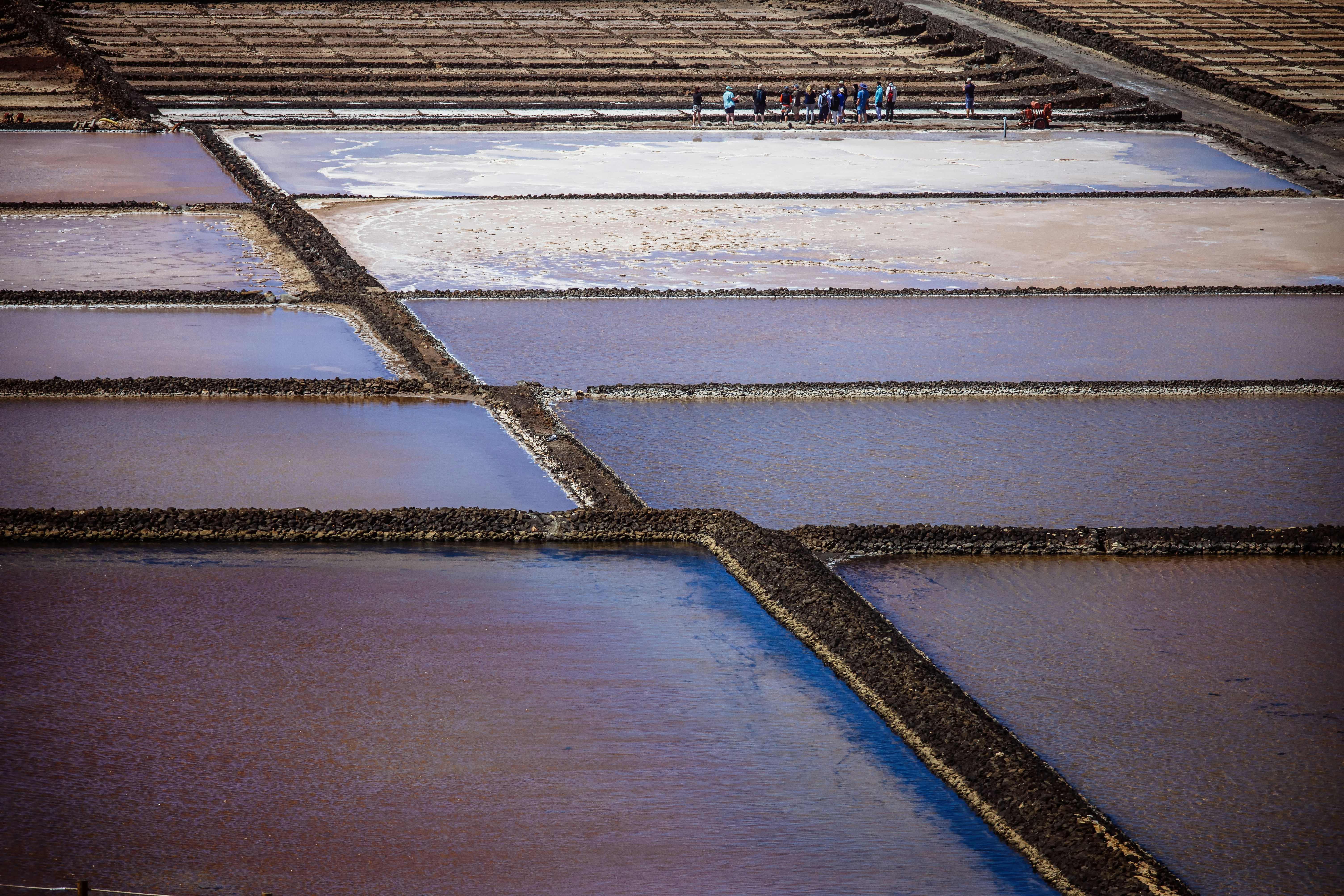 Photo by akari_tsuru