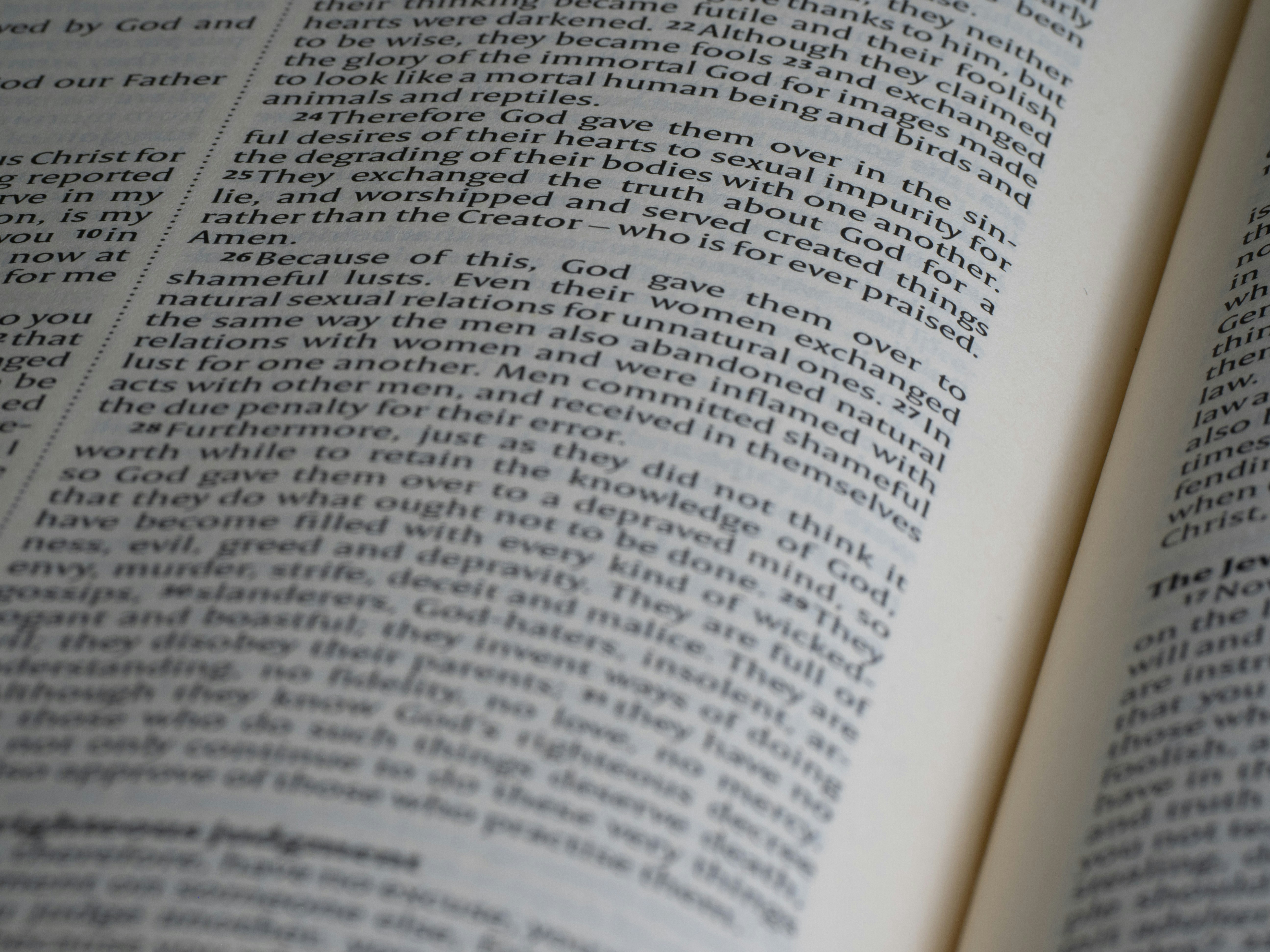 Photo by brett_jordan