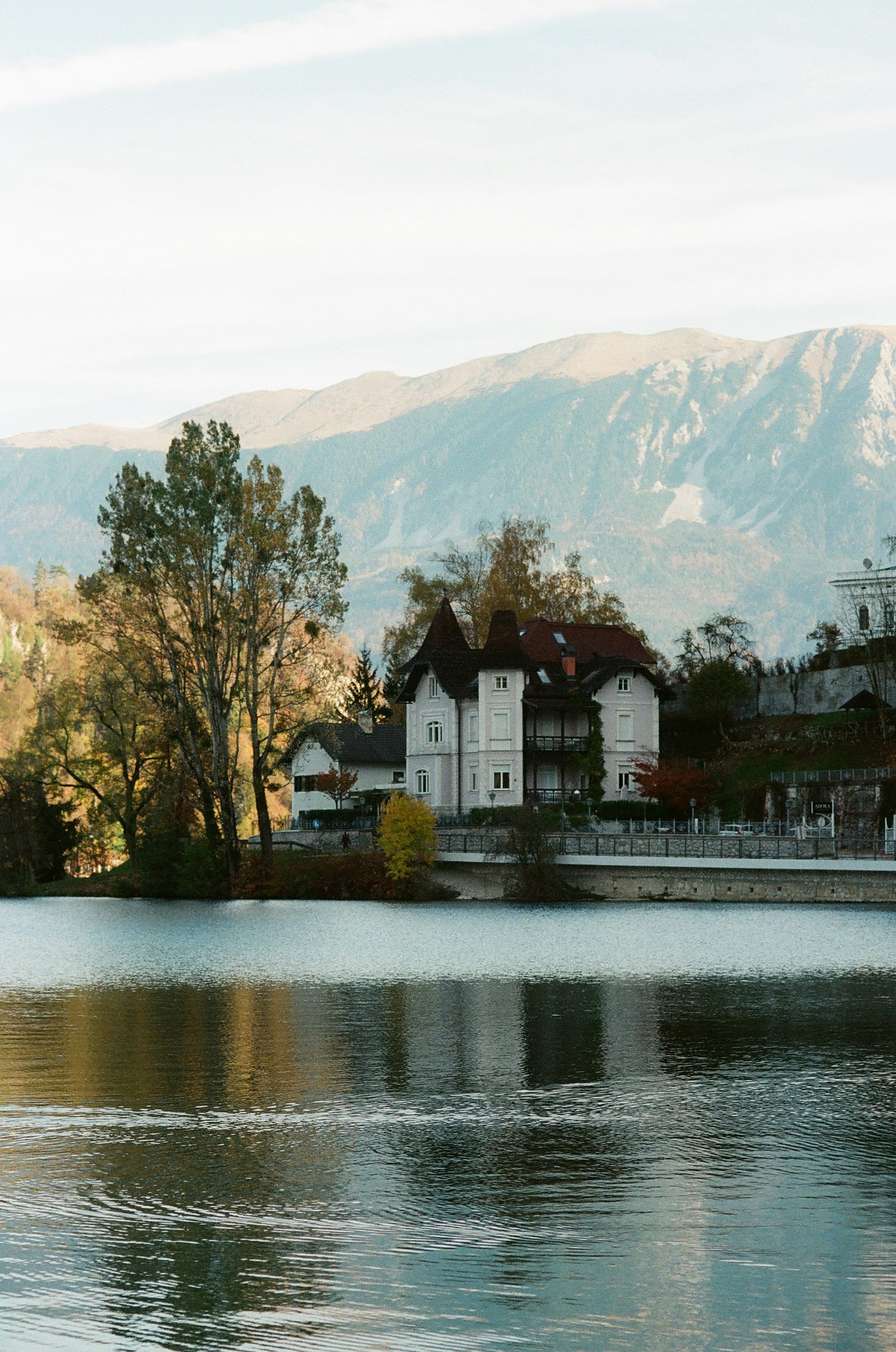 Photo by stachmann