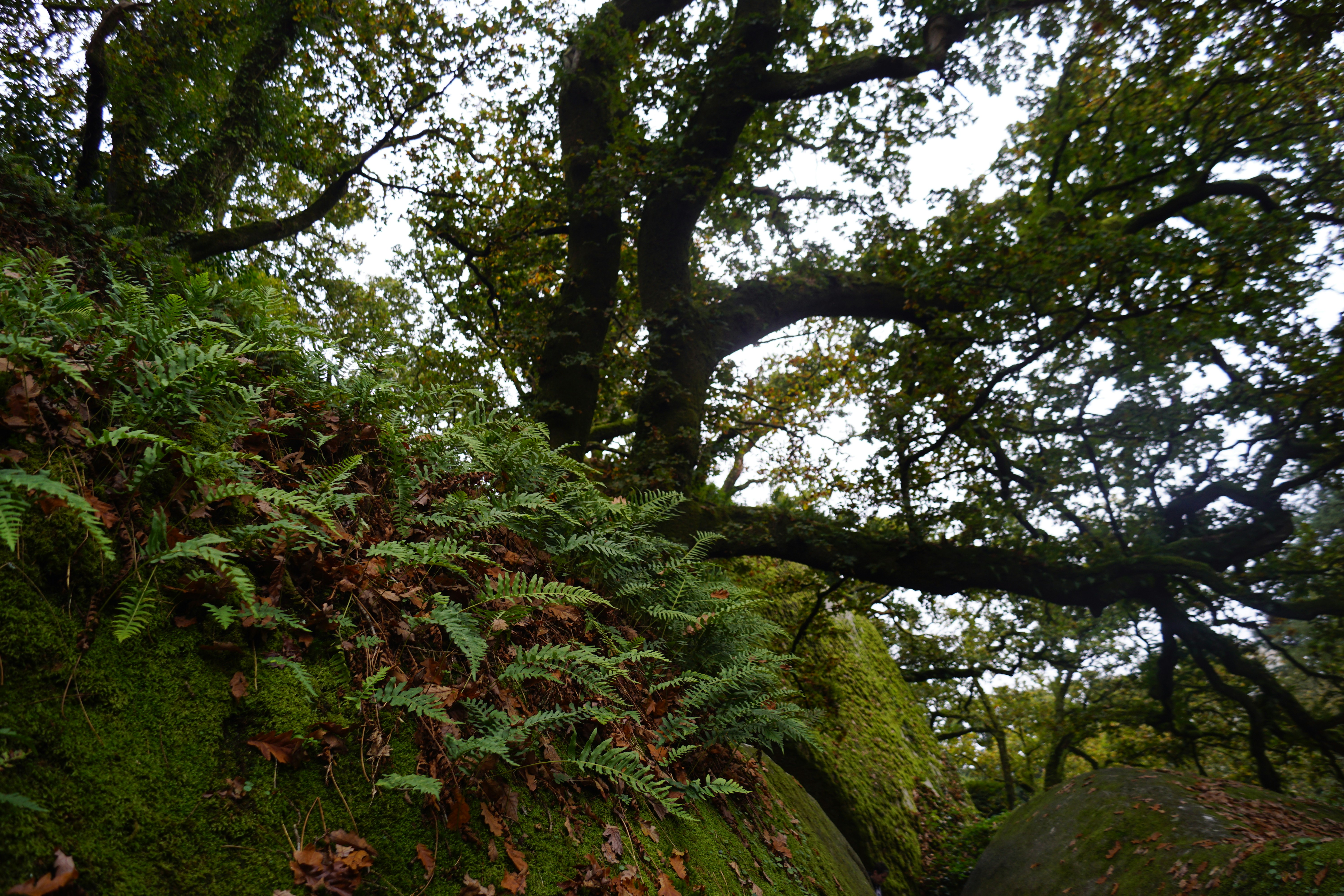 Photo by aurianeclem