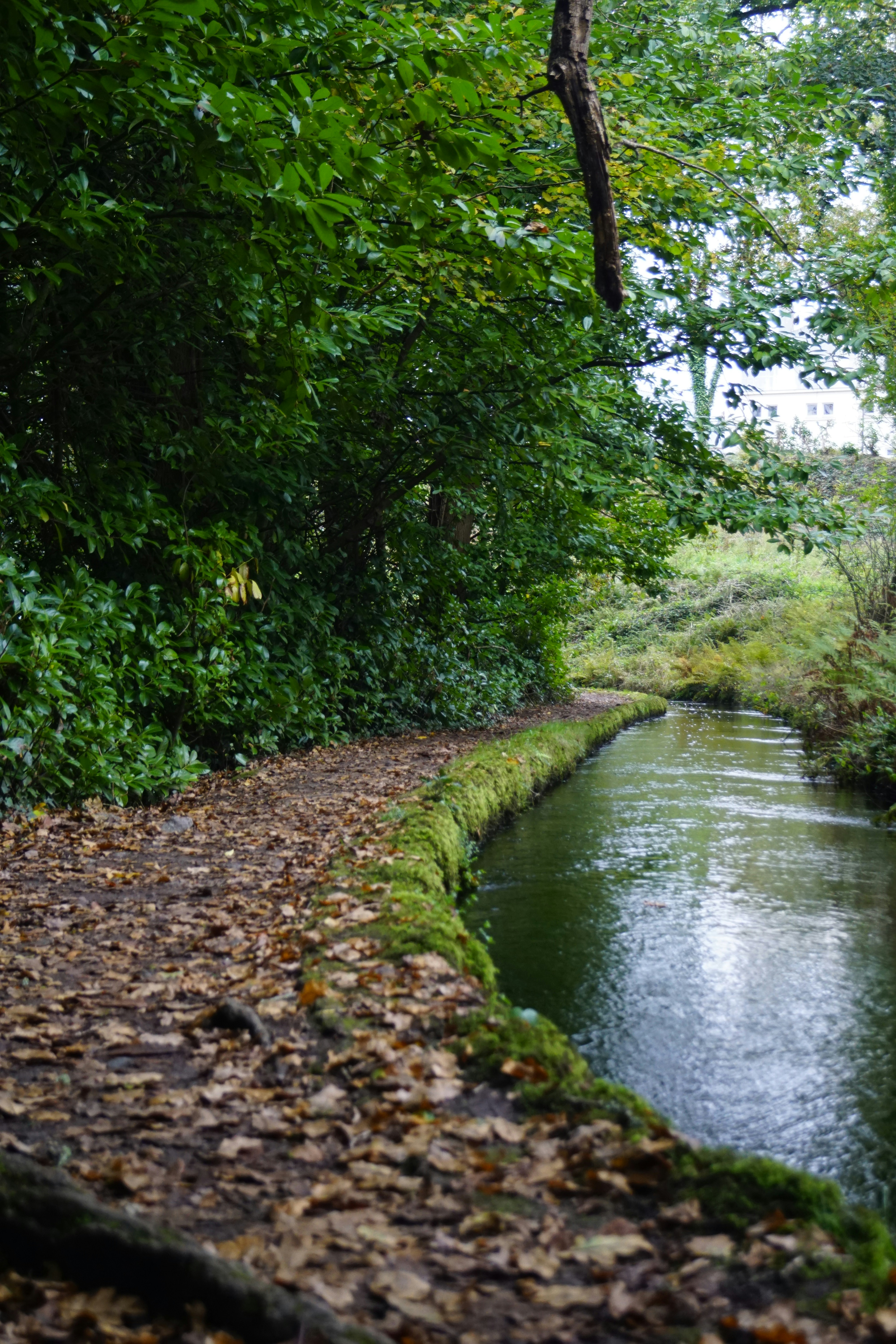 Photo by aurianeclem