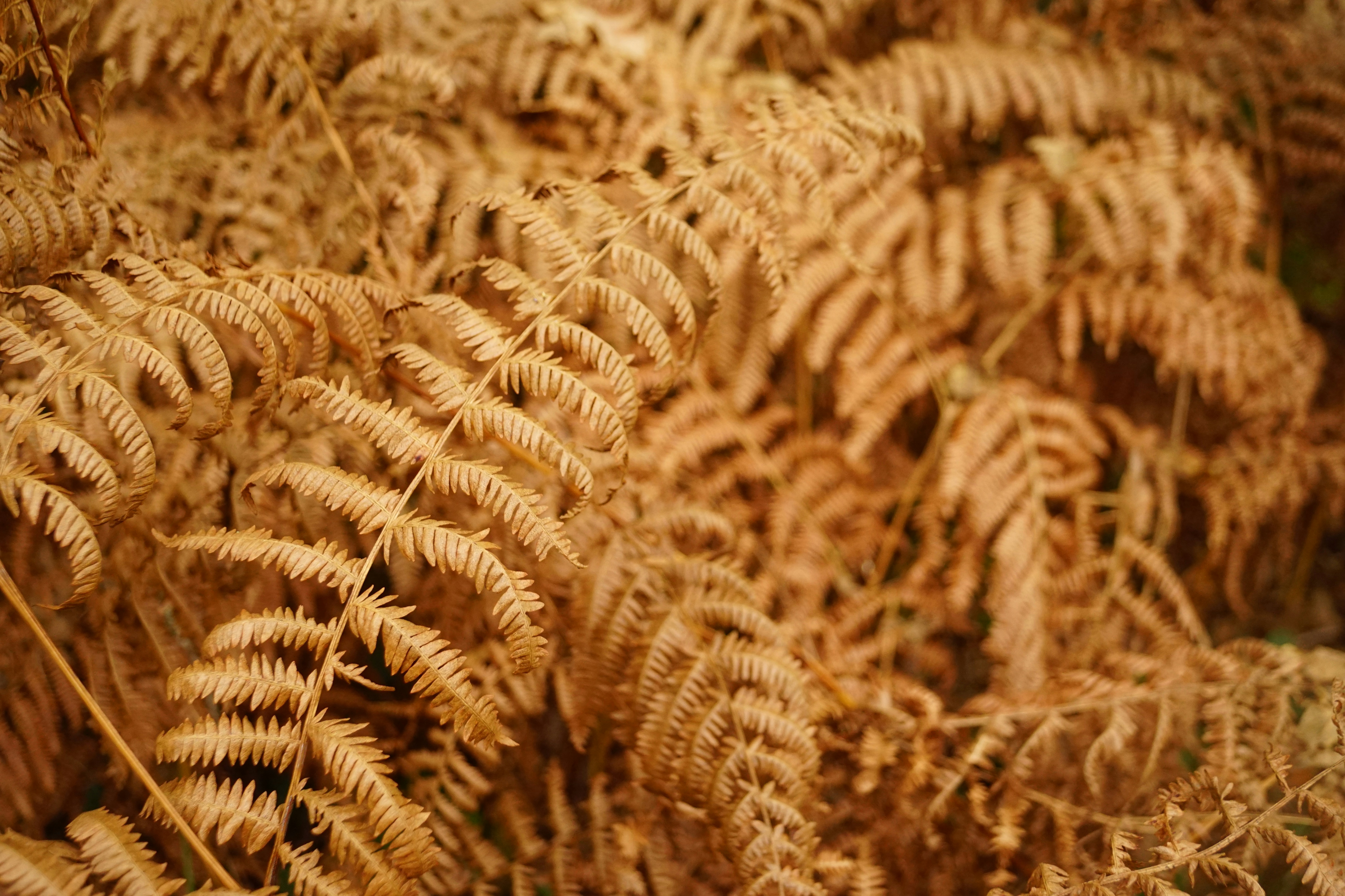 Photo by aurianeclem