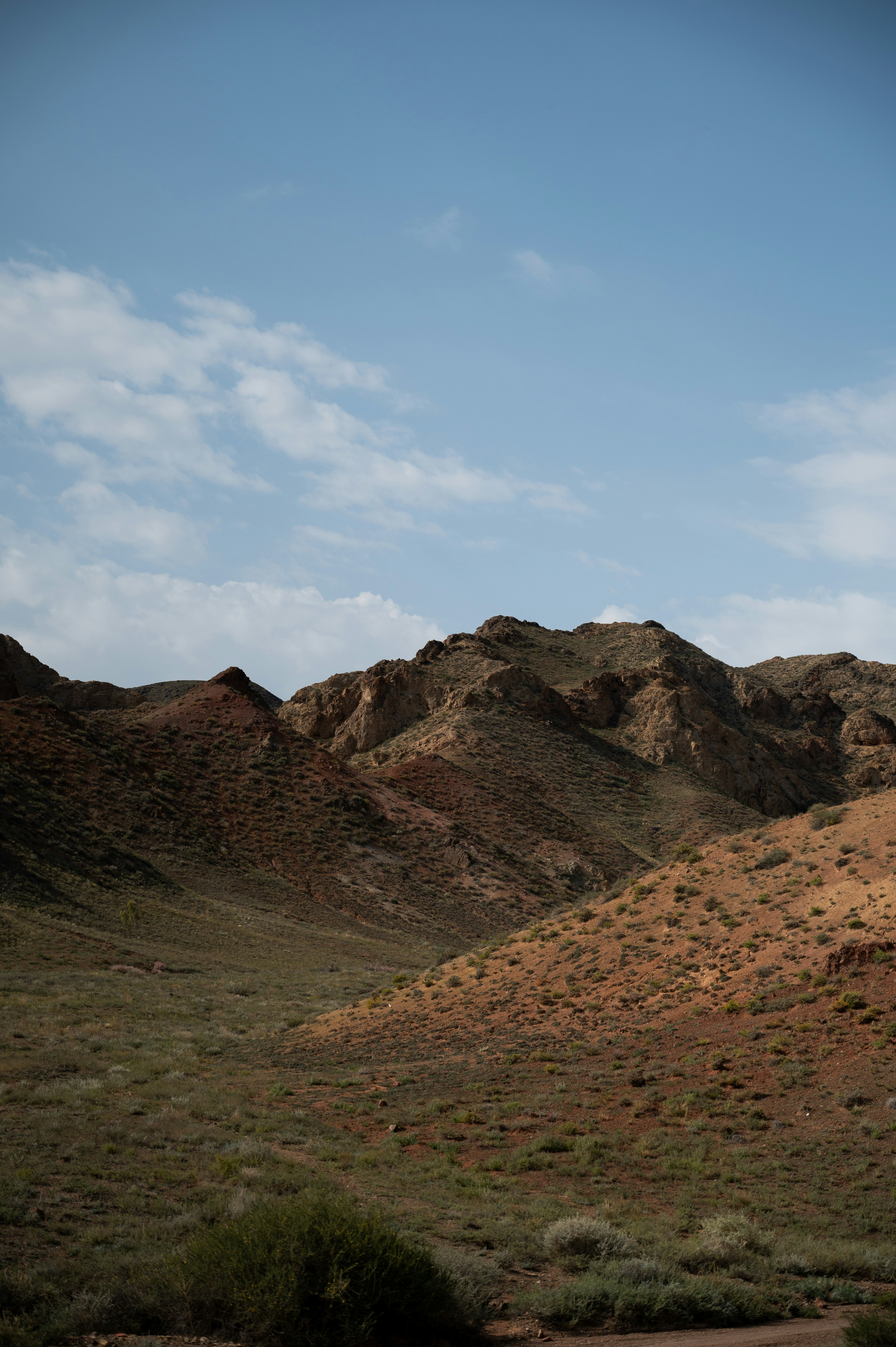 Photo by shubhamsingla365