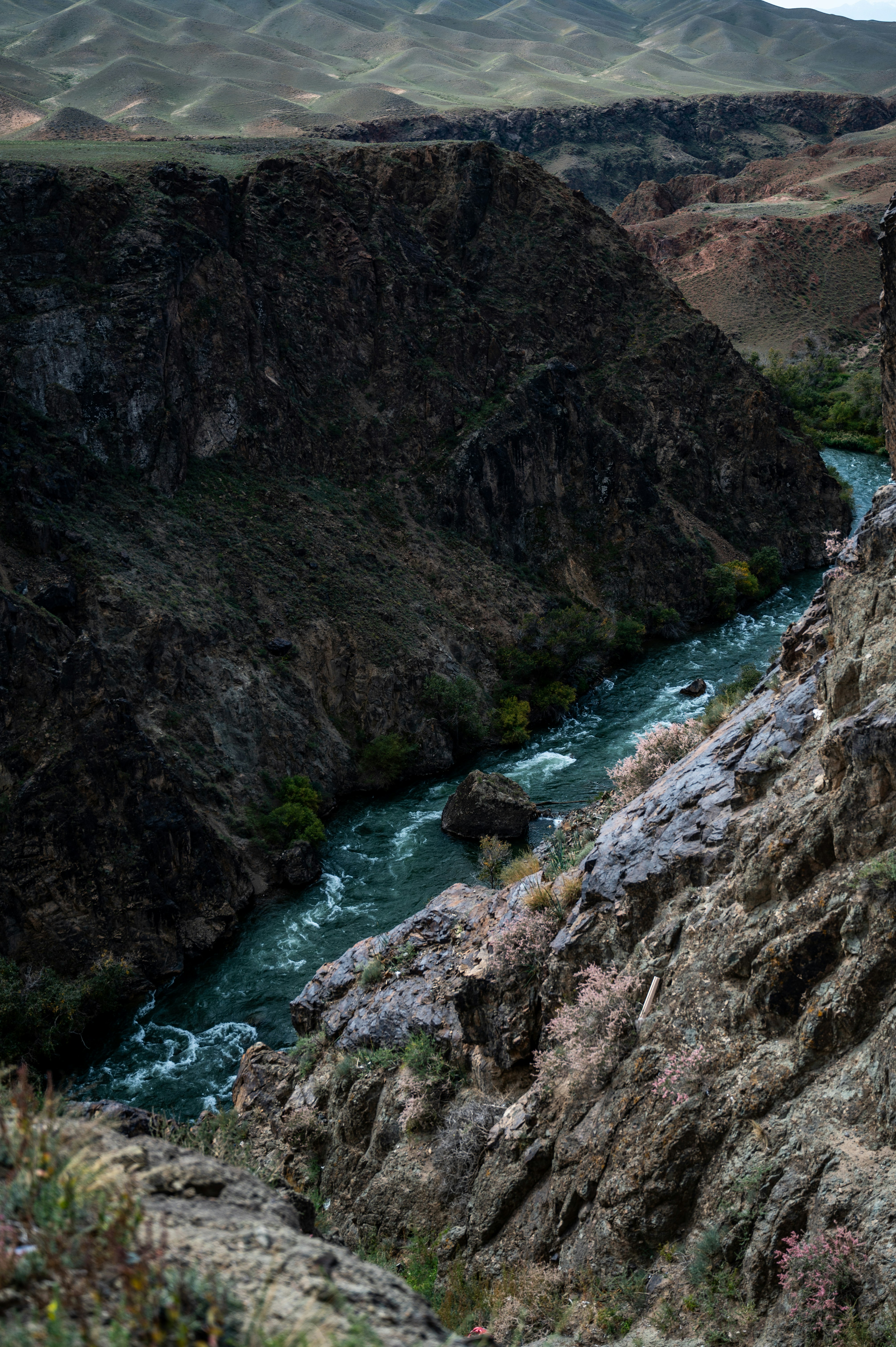 Photo by shubhamsingla365