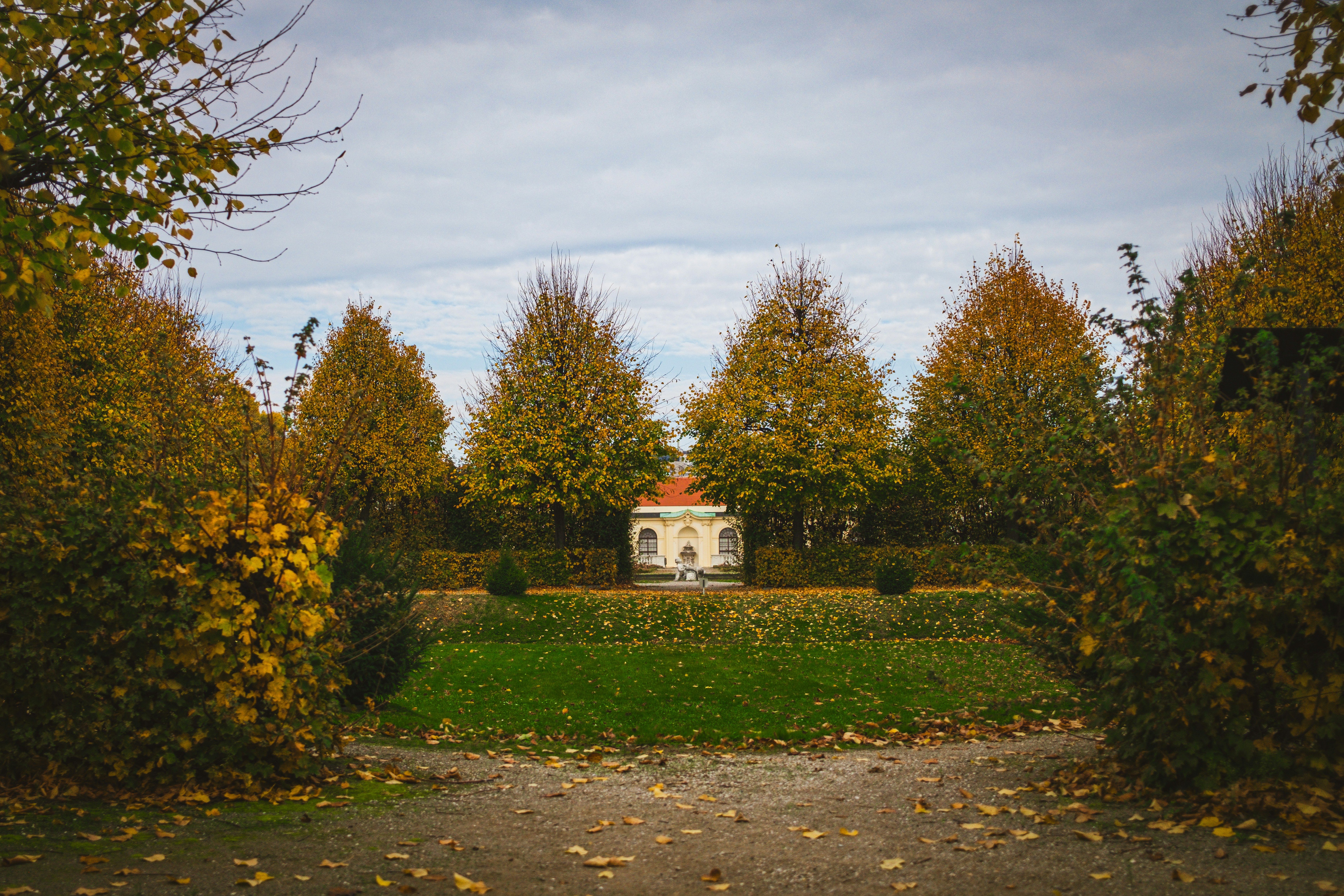 A white house surrounded by trees and bushes