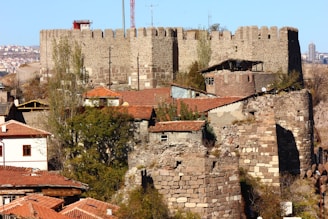 A view of a city with a castle in the background