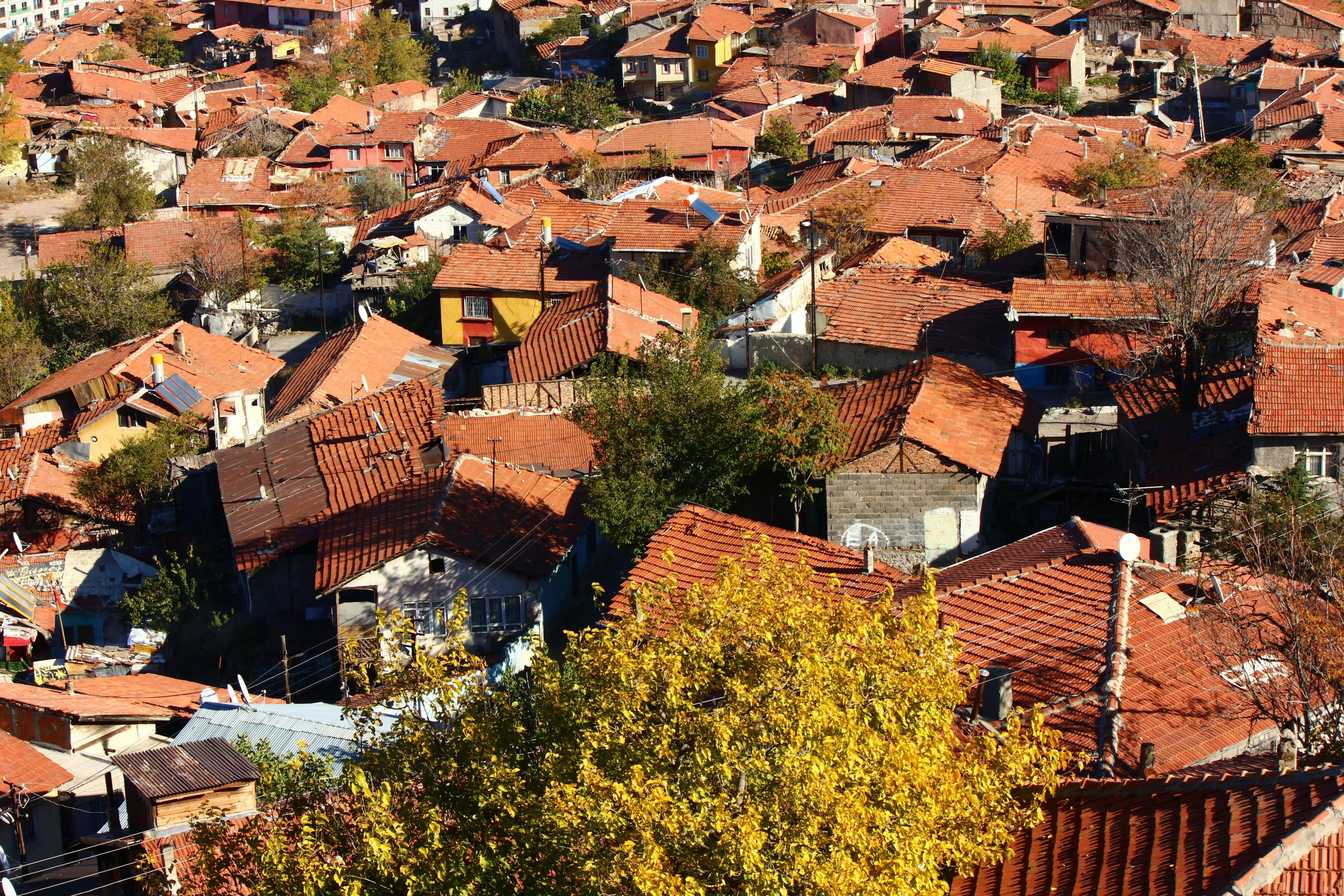 Photo by cengizozarpat