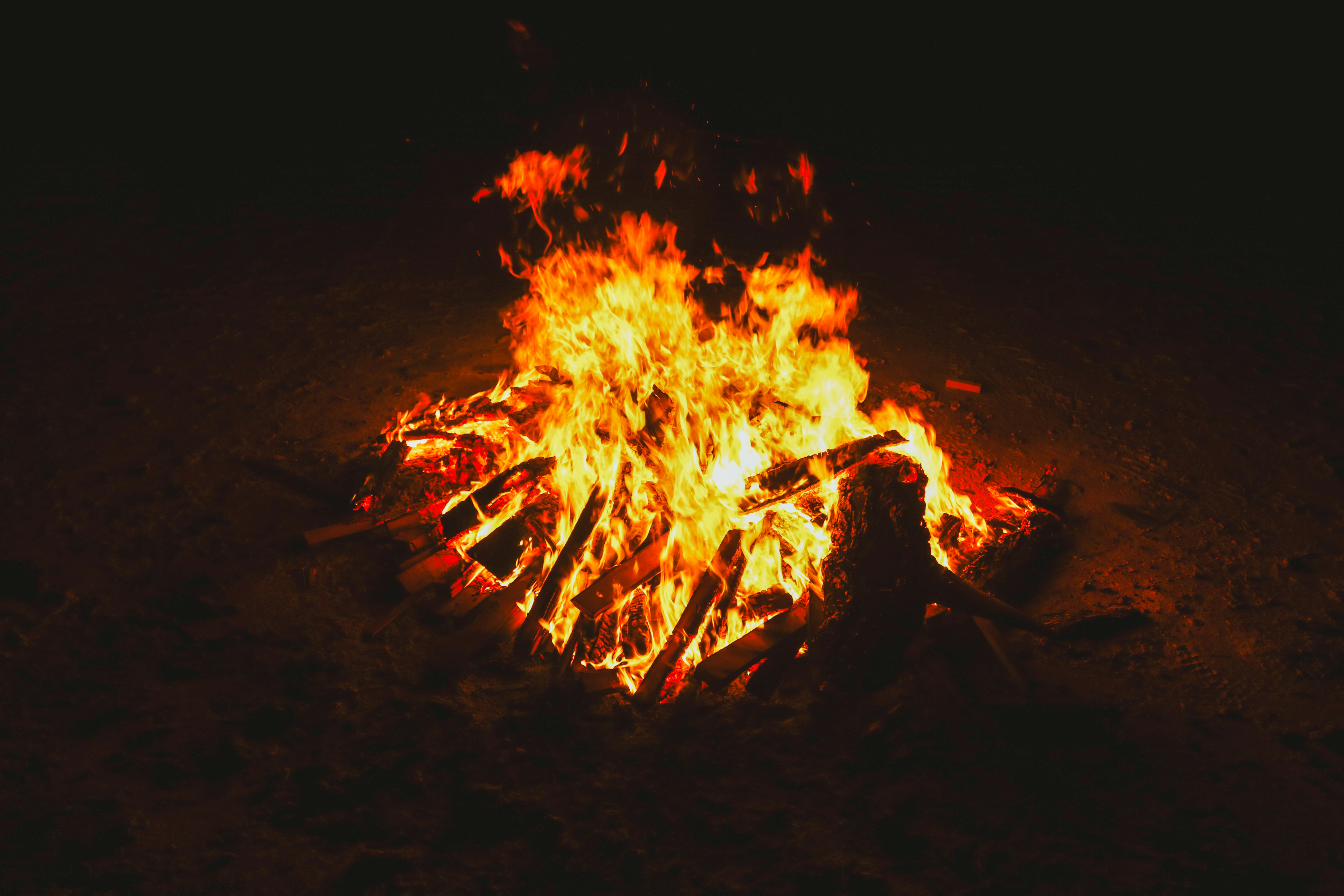 A fire pit with a bird sitting on top of it