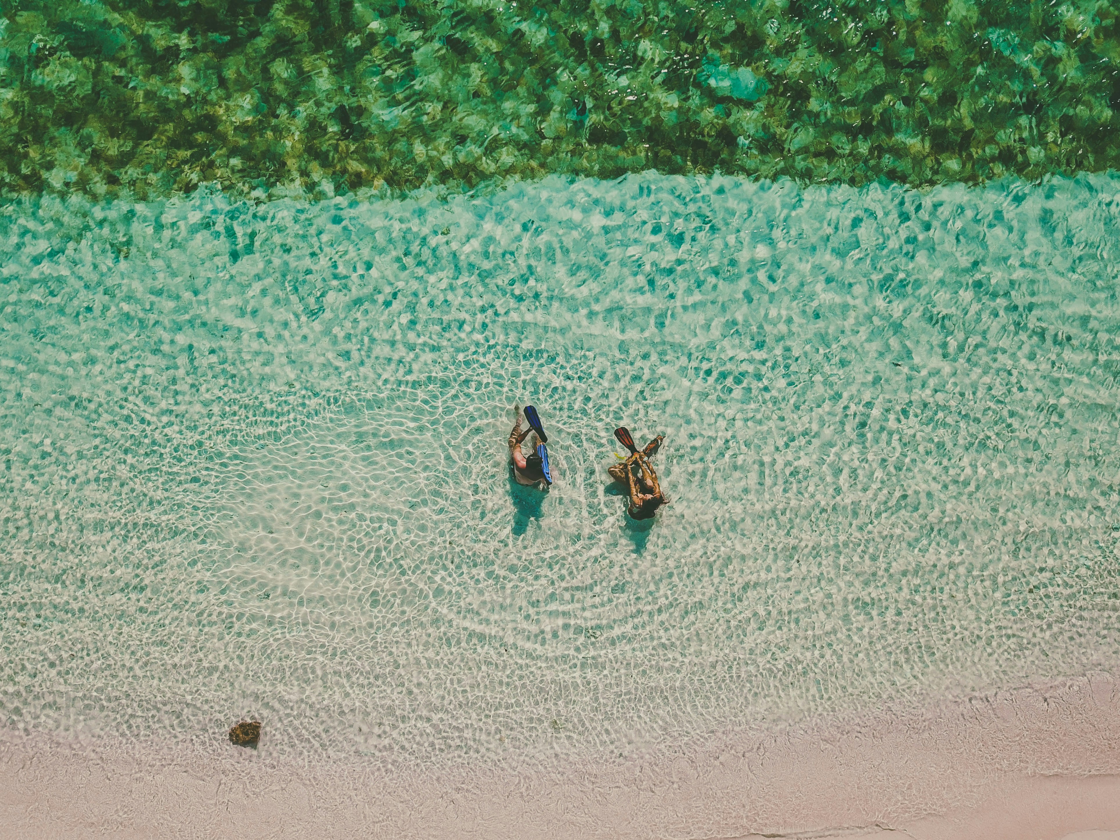 Photo by antonioaaaraujo