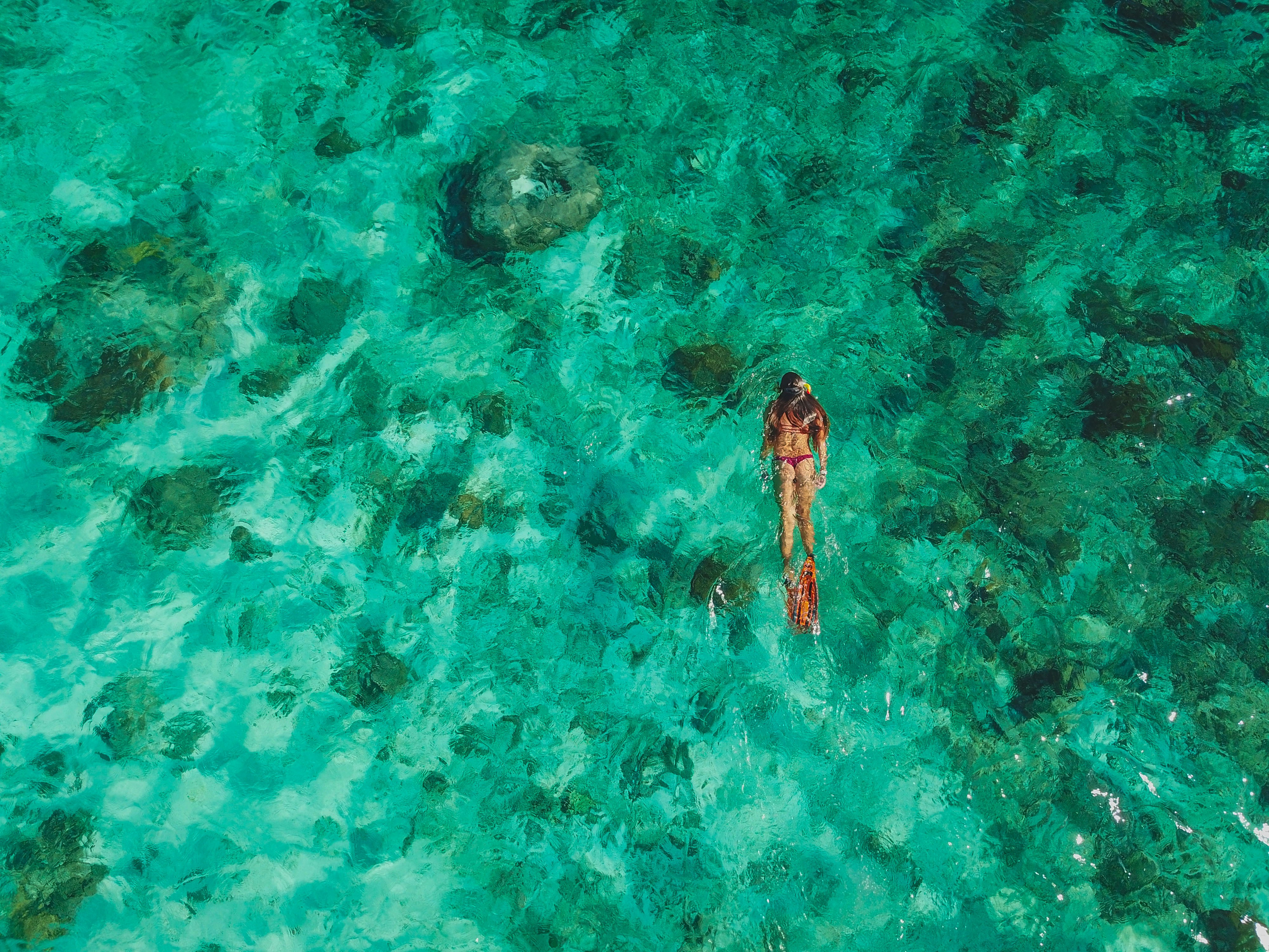 Photo by antonioaaaraujo