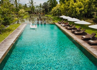 A pool with lounge chairs and umbrellas next to it