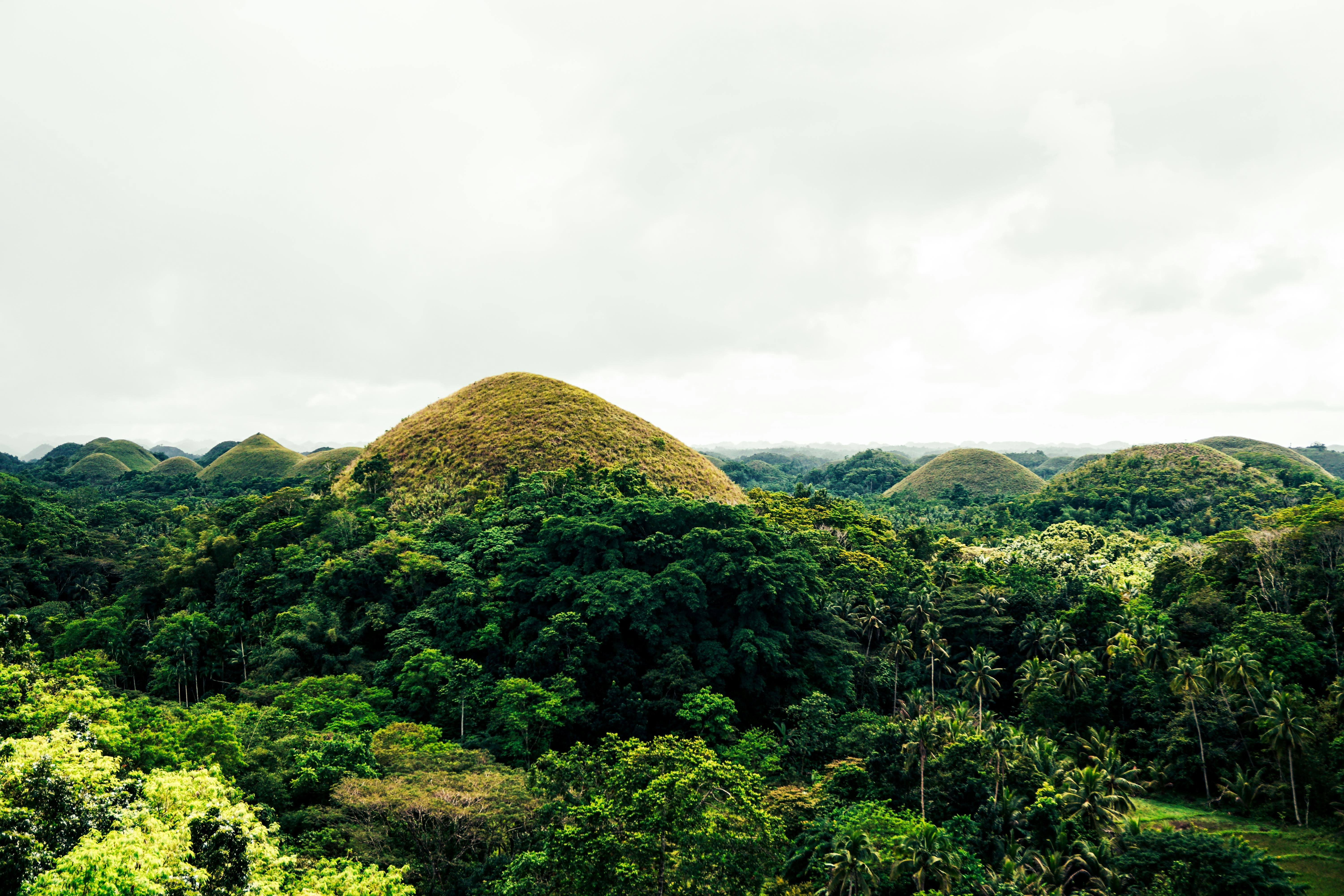 Photo by antonioaaaraujo