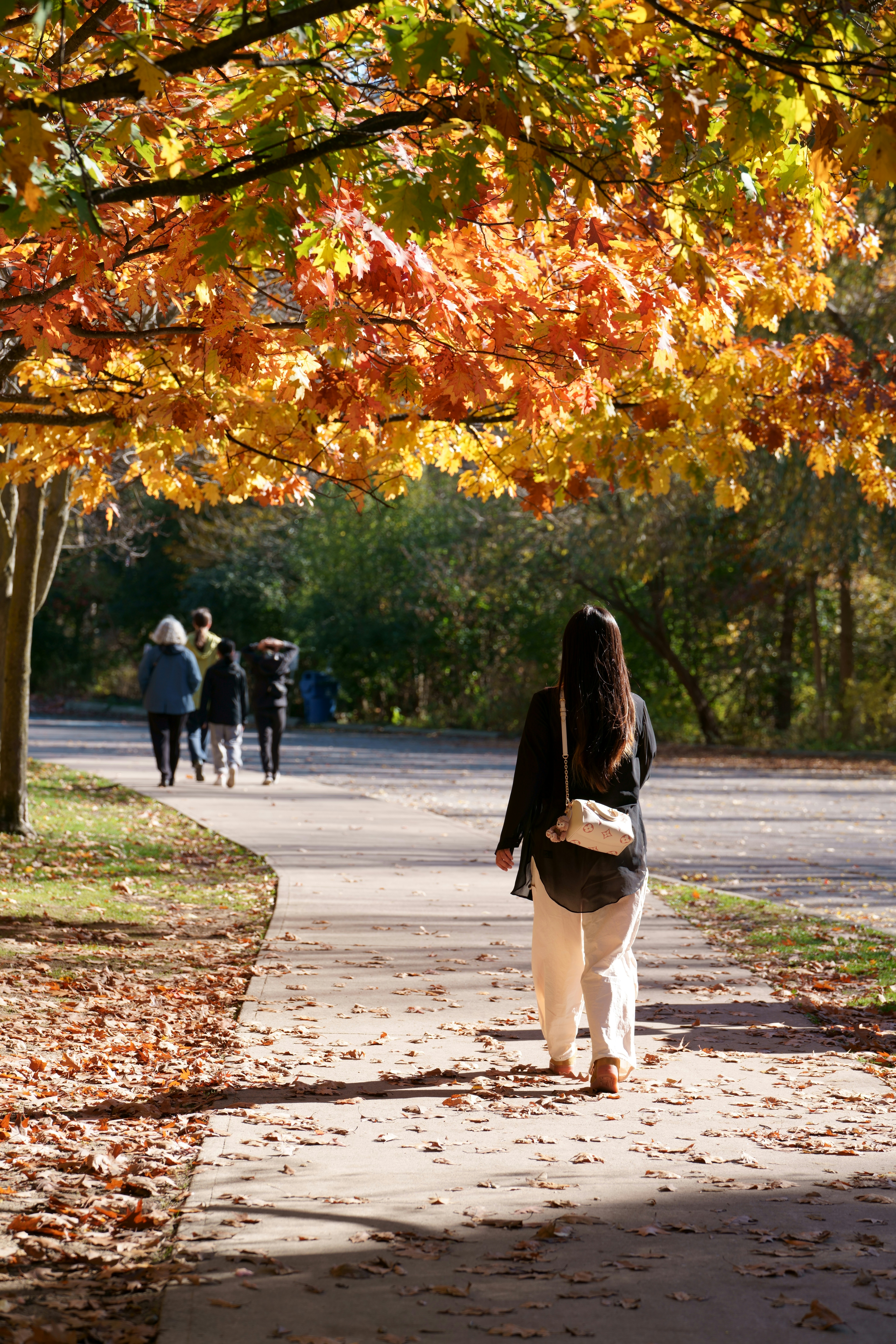 Photo by terrladennis