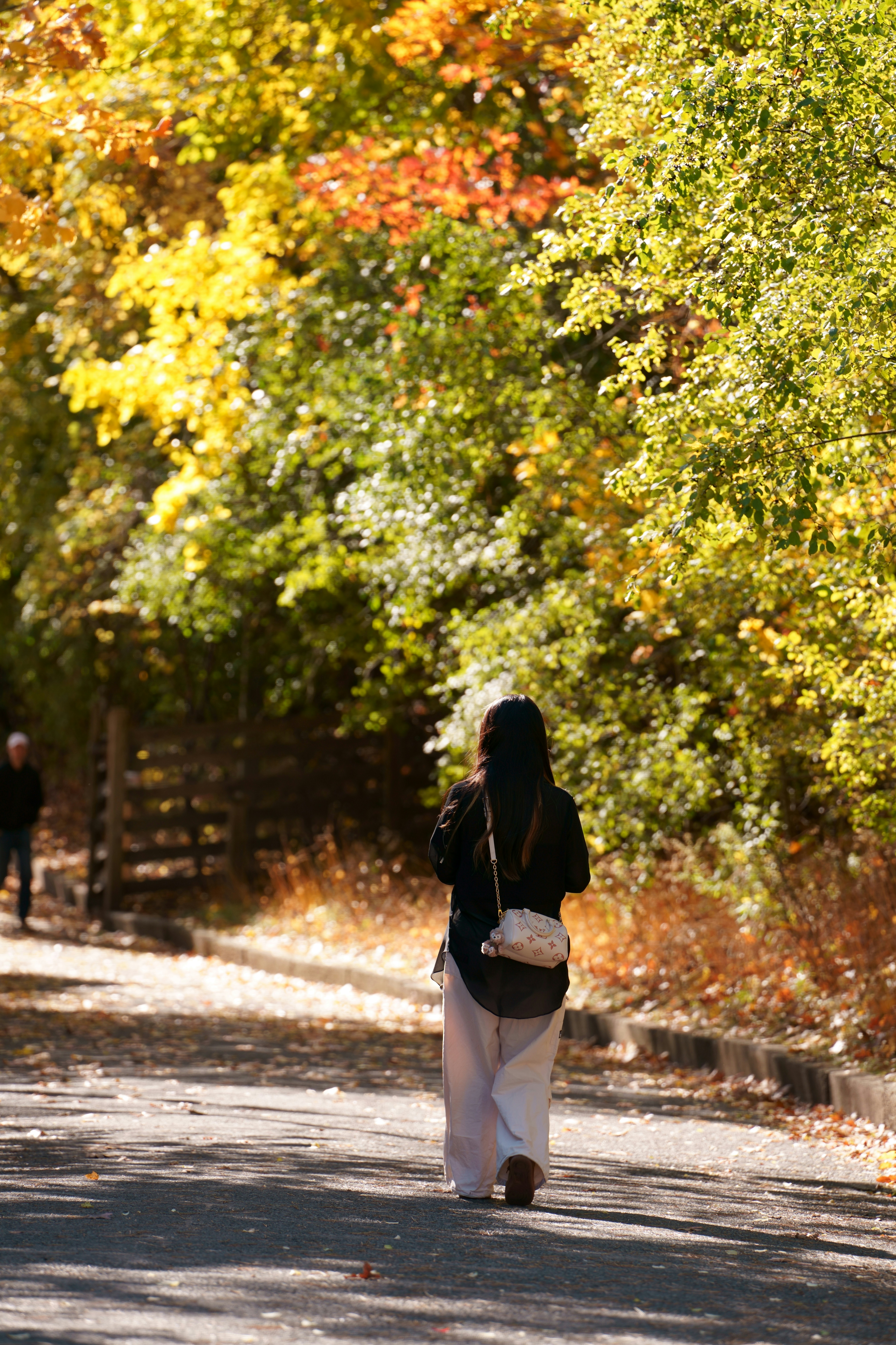 Photo by terrladennis