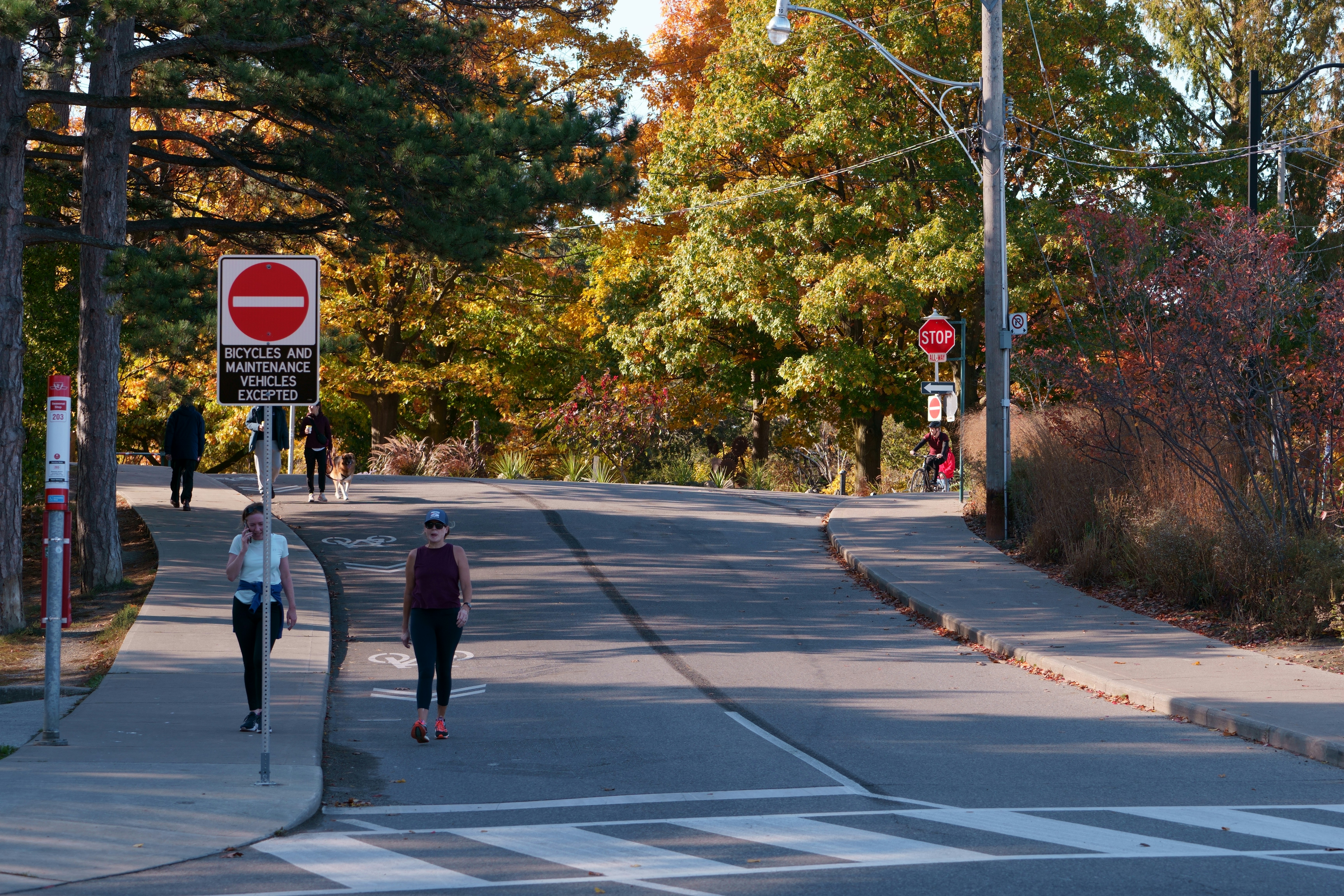 Photo by terrladennis