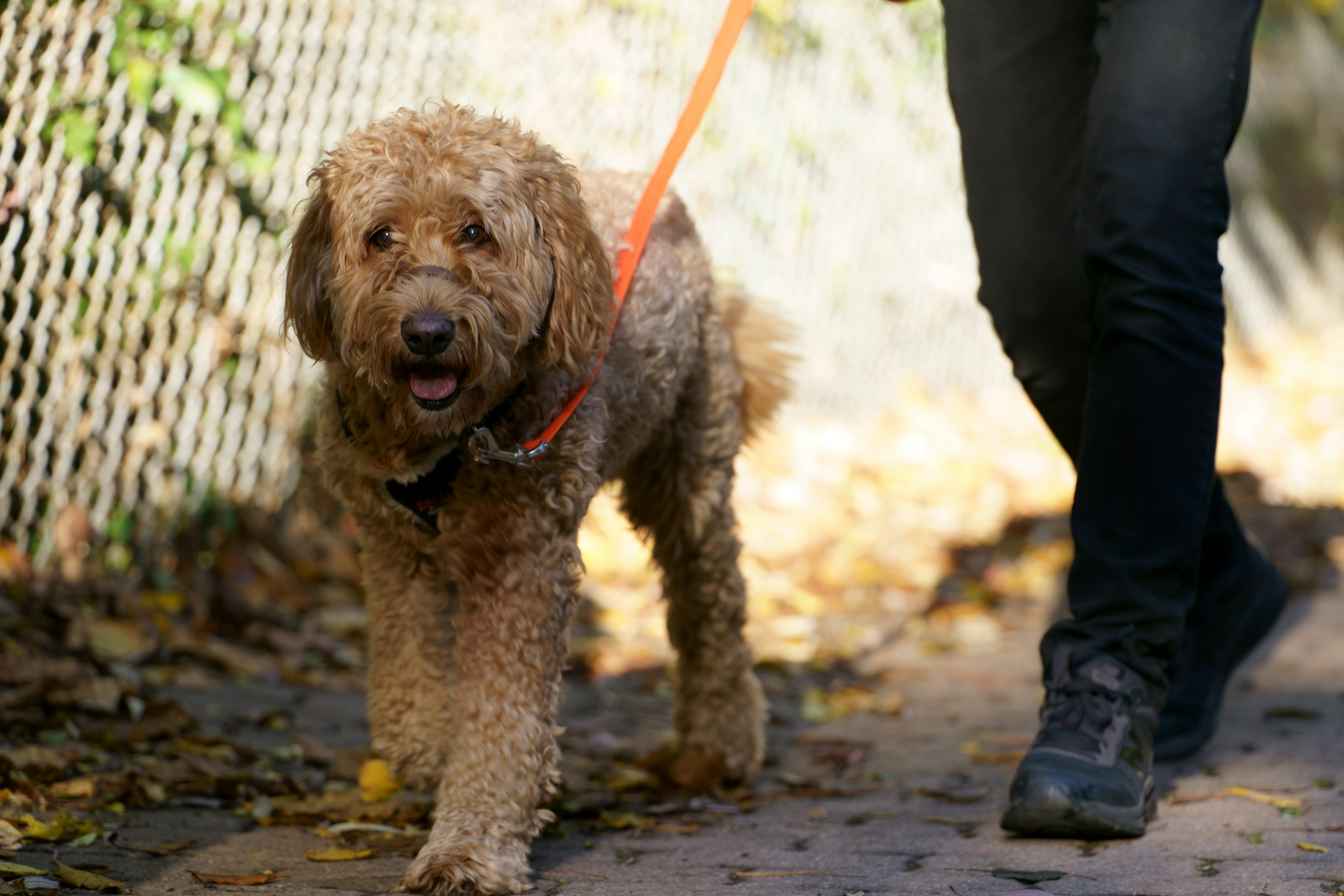 Photo by terrladennis