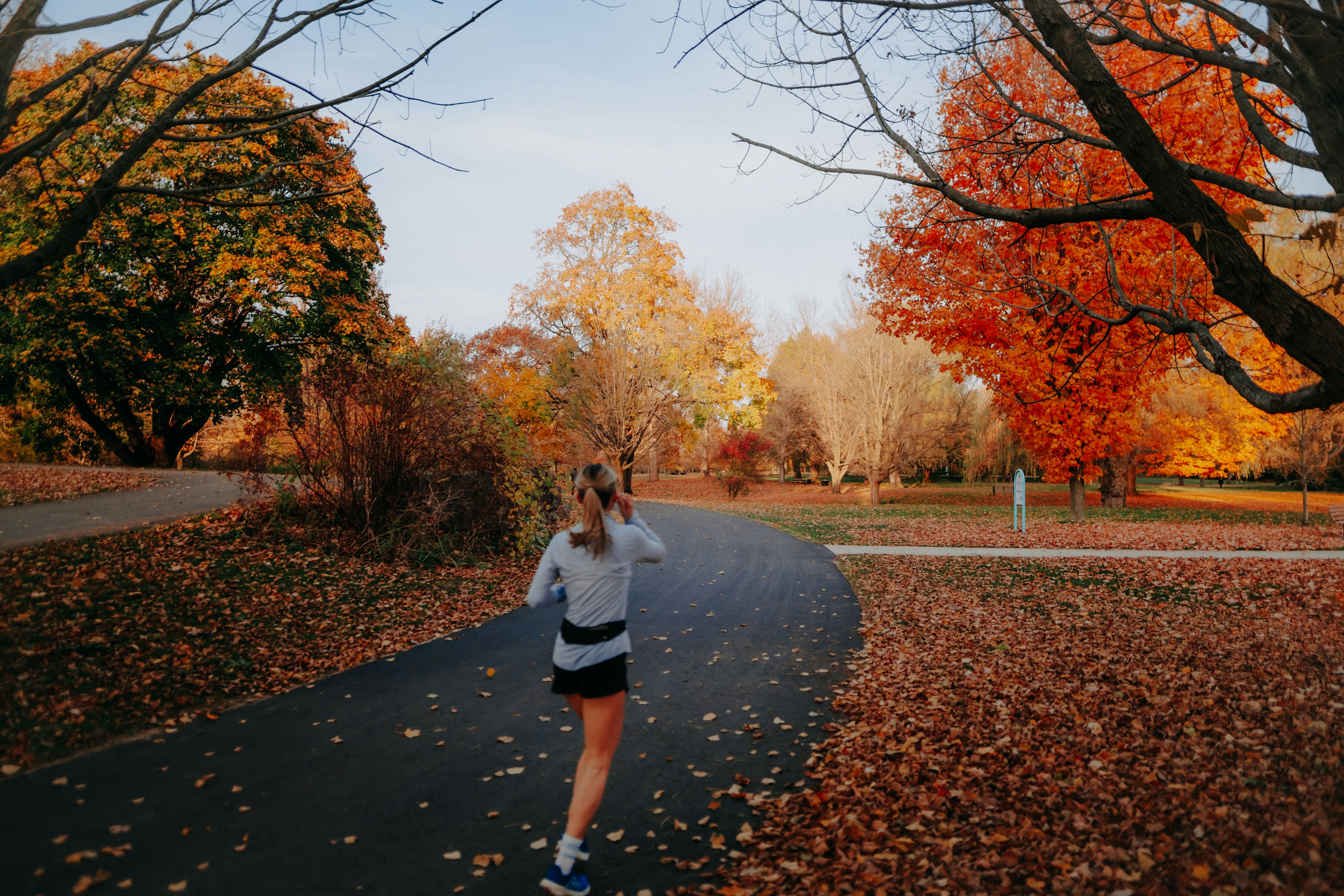 A woman running down a road in the fall photo – Free Autumn Image on ...