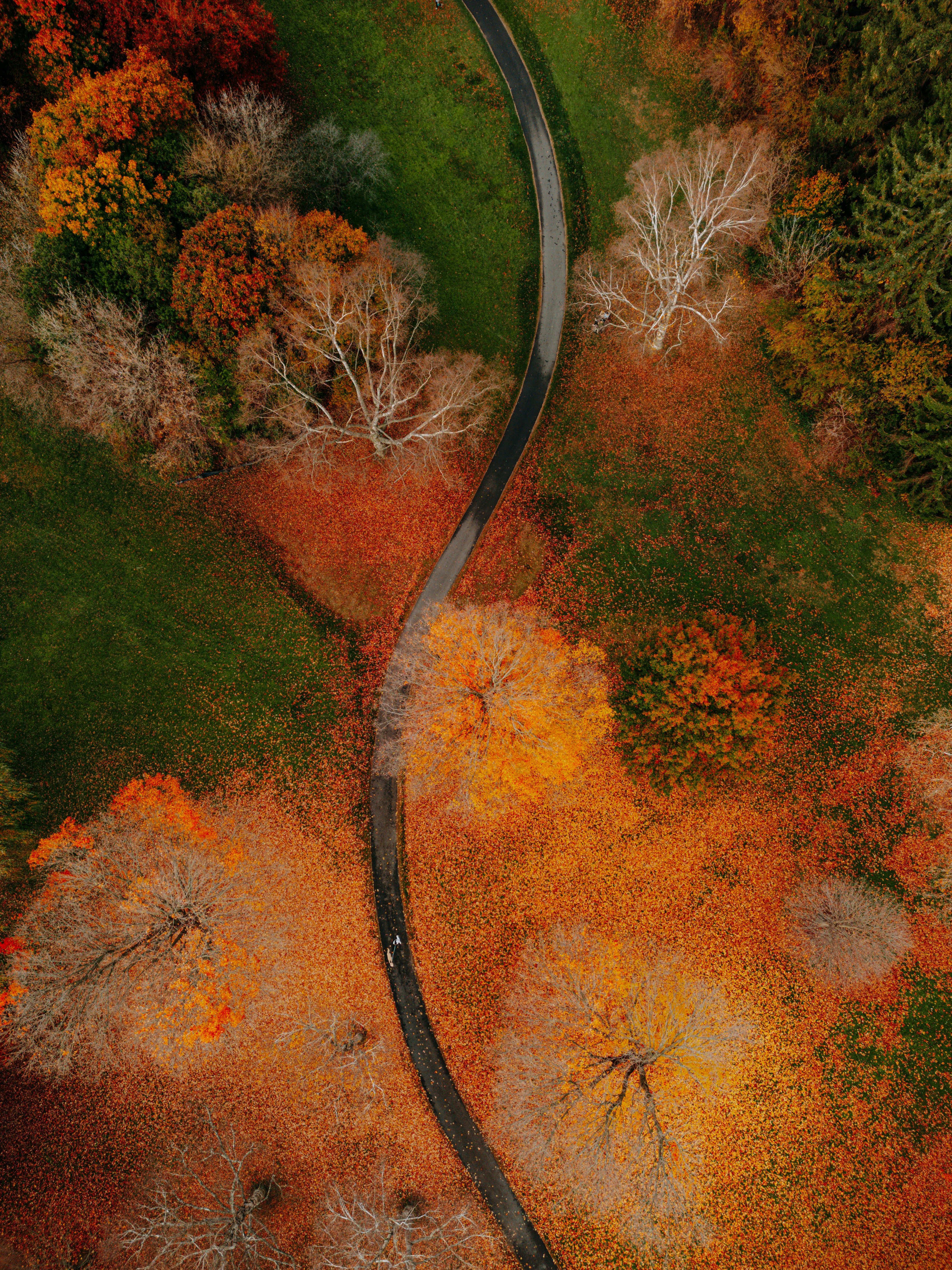 Photo by keithtanman