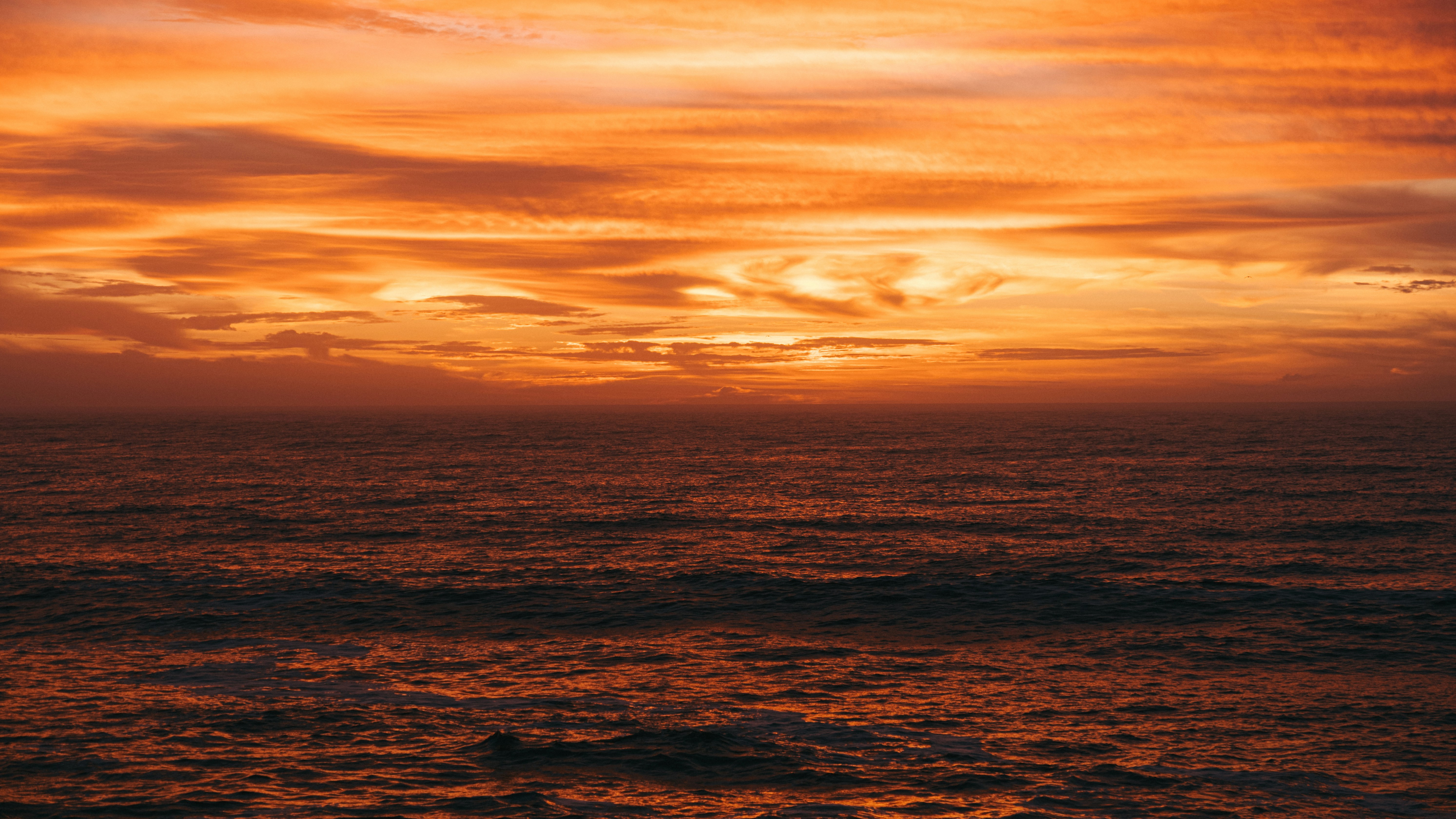 Photo by snapshot_journey