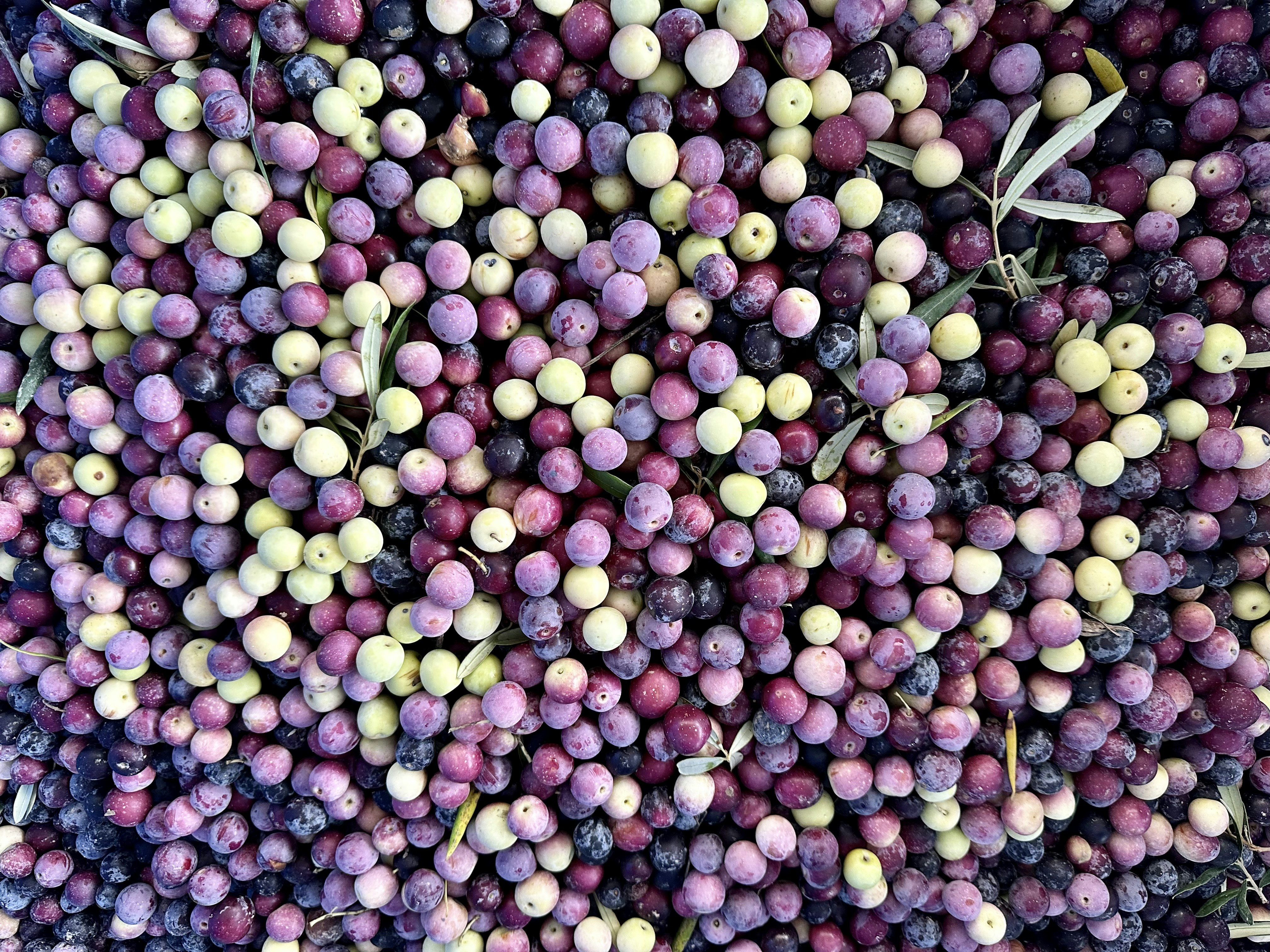 Photo by john_cameron