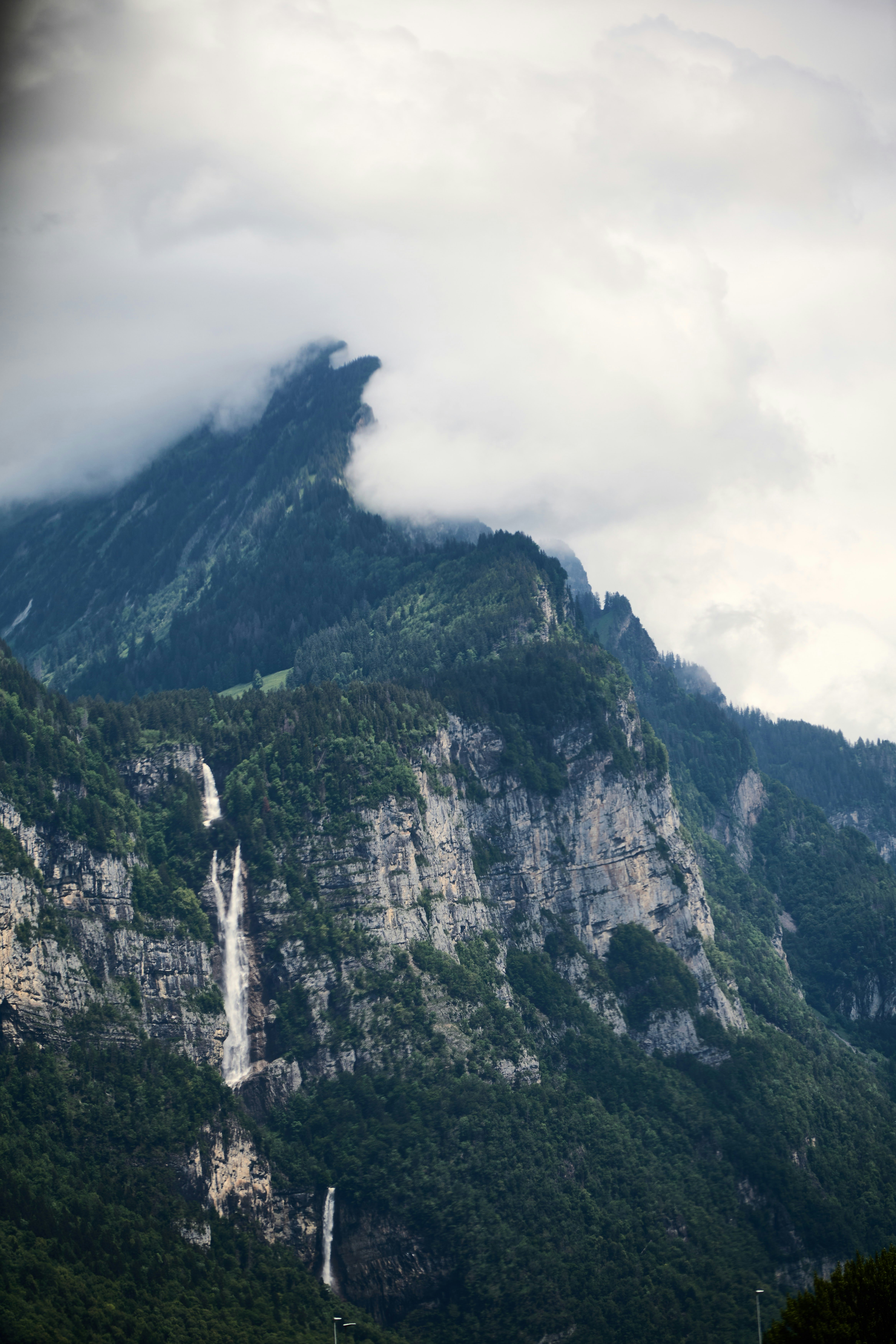 Photo by wolfgang_hasselmann