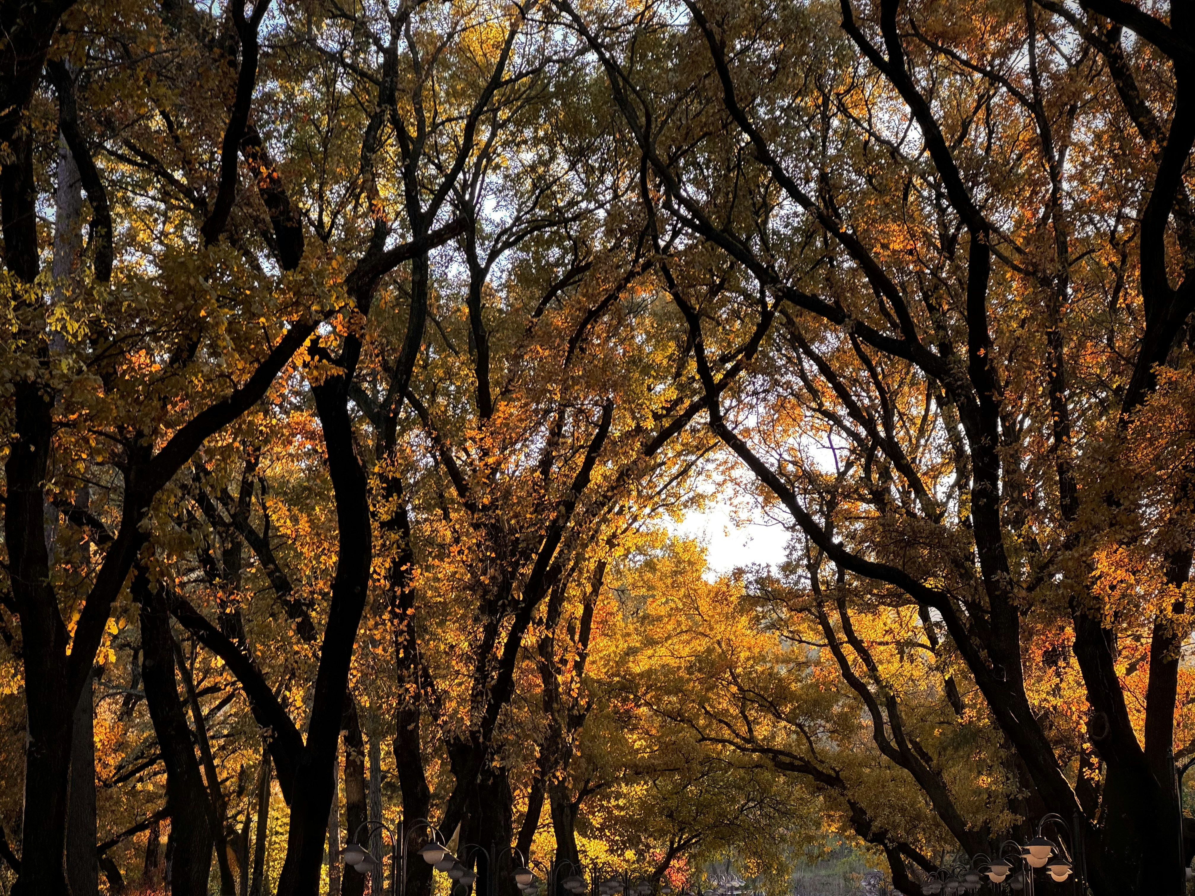 Photo by mrparalloid