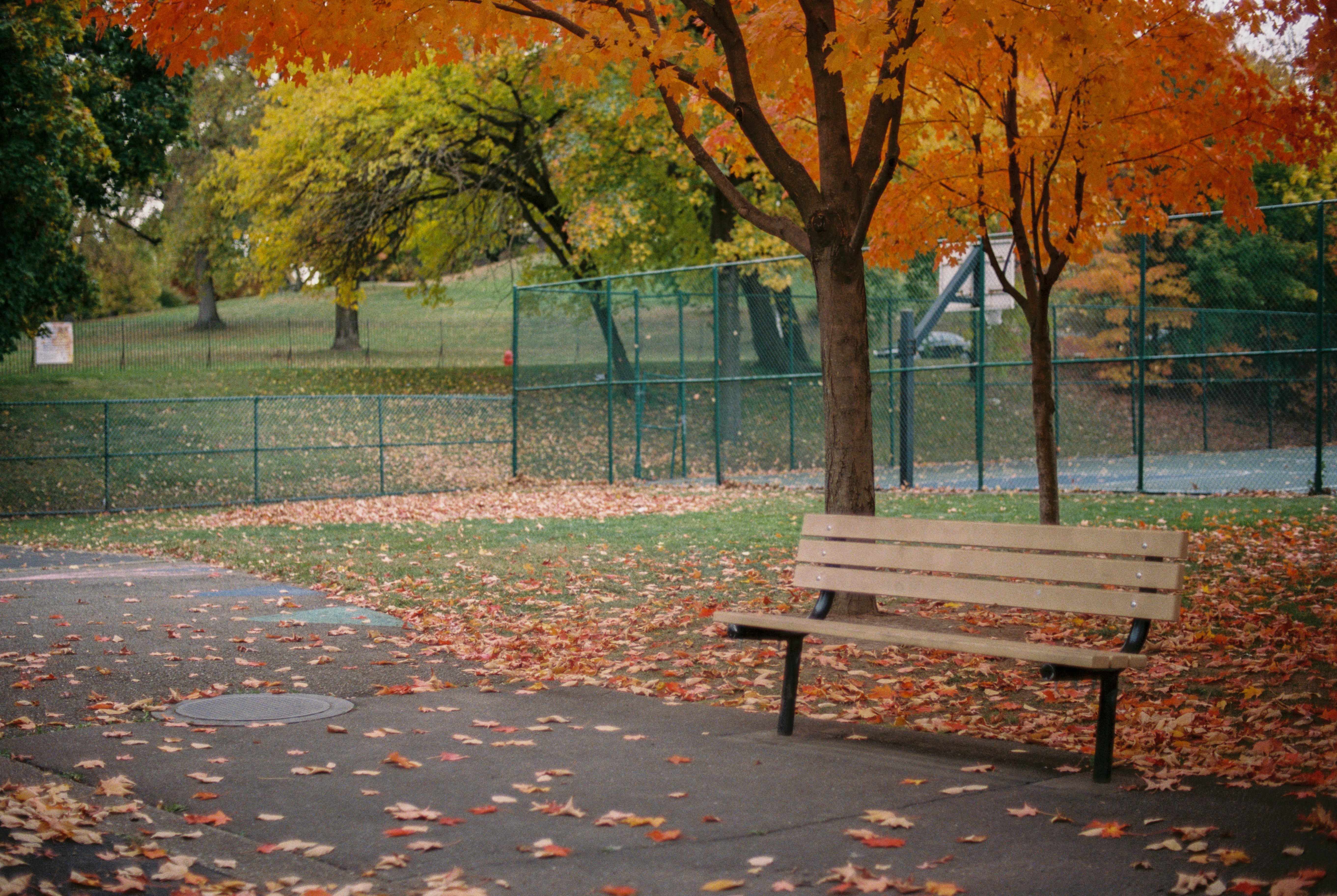 가을 운동 루틴