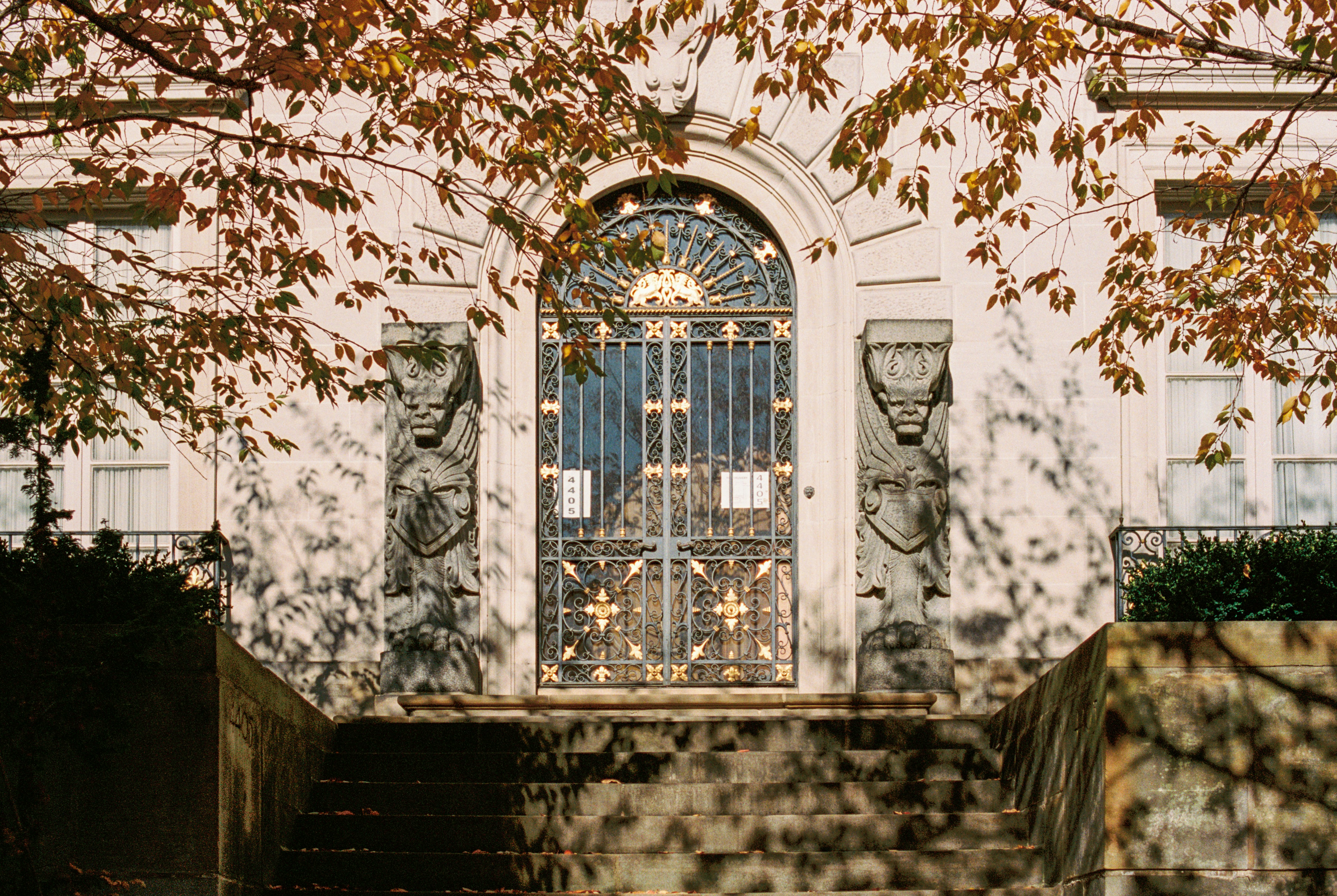 Photo by zhenyao_photo