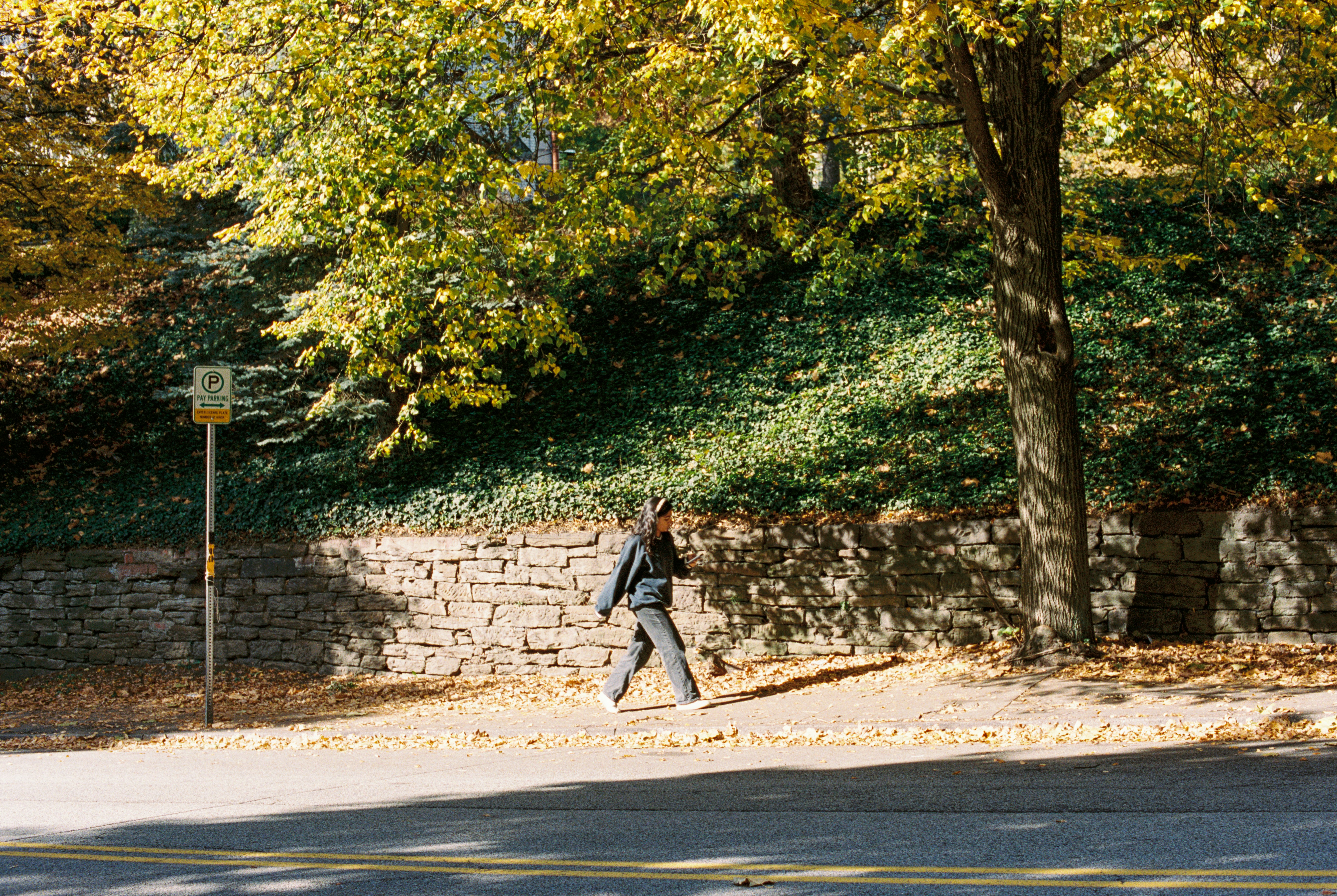 Photo by zhenyao_photo