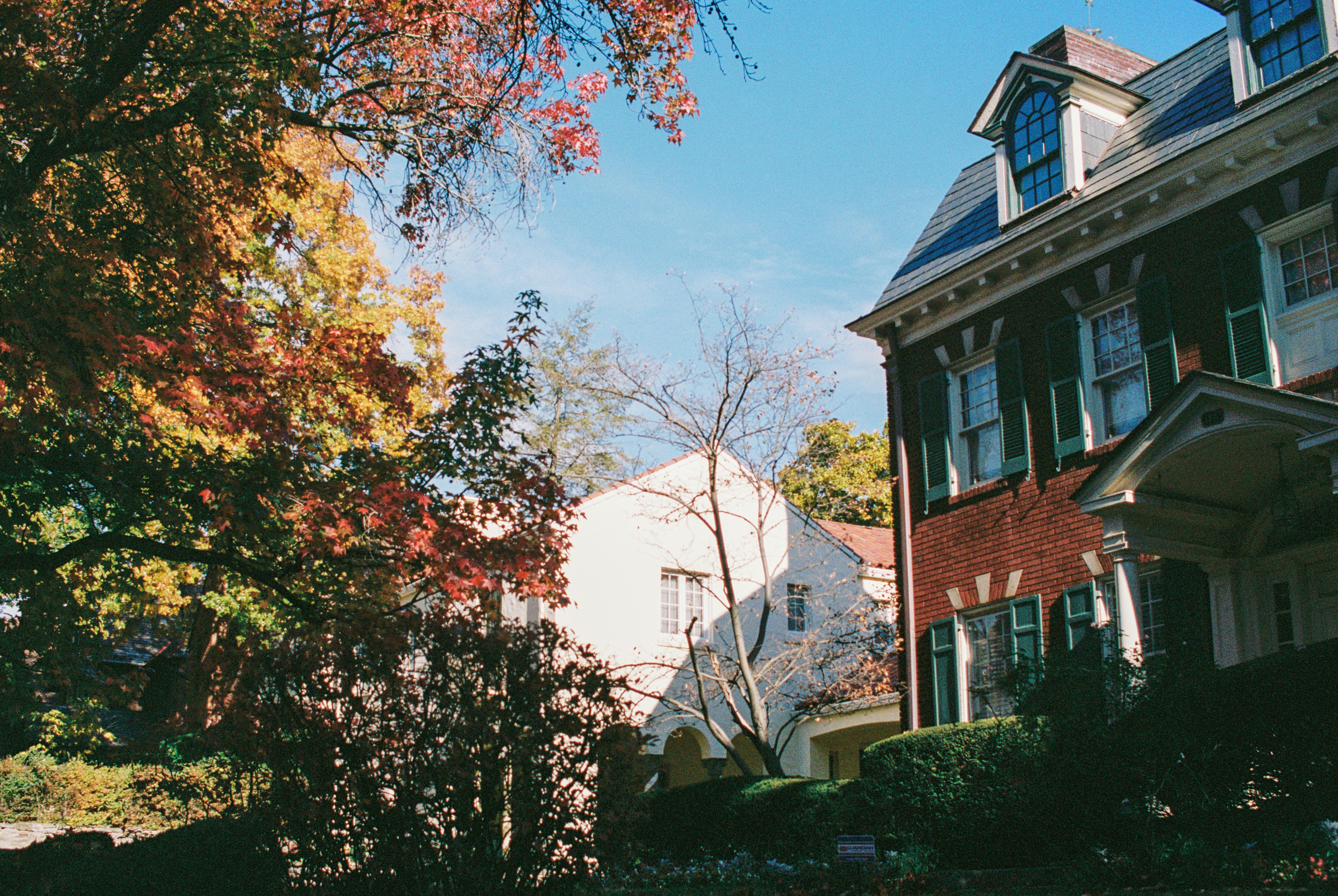 Photo by zhenyao_photo