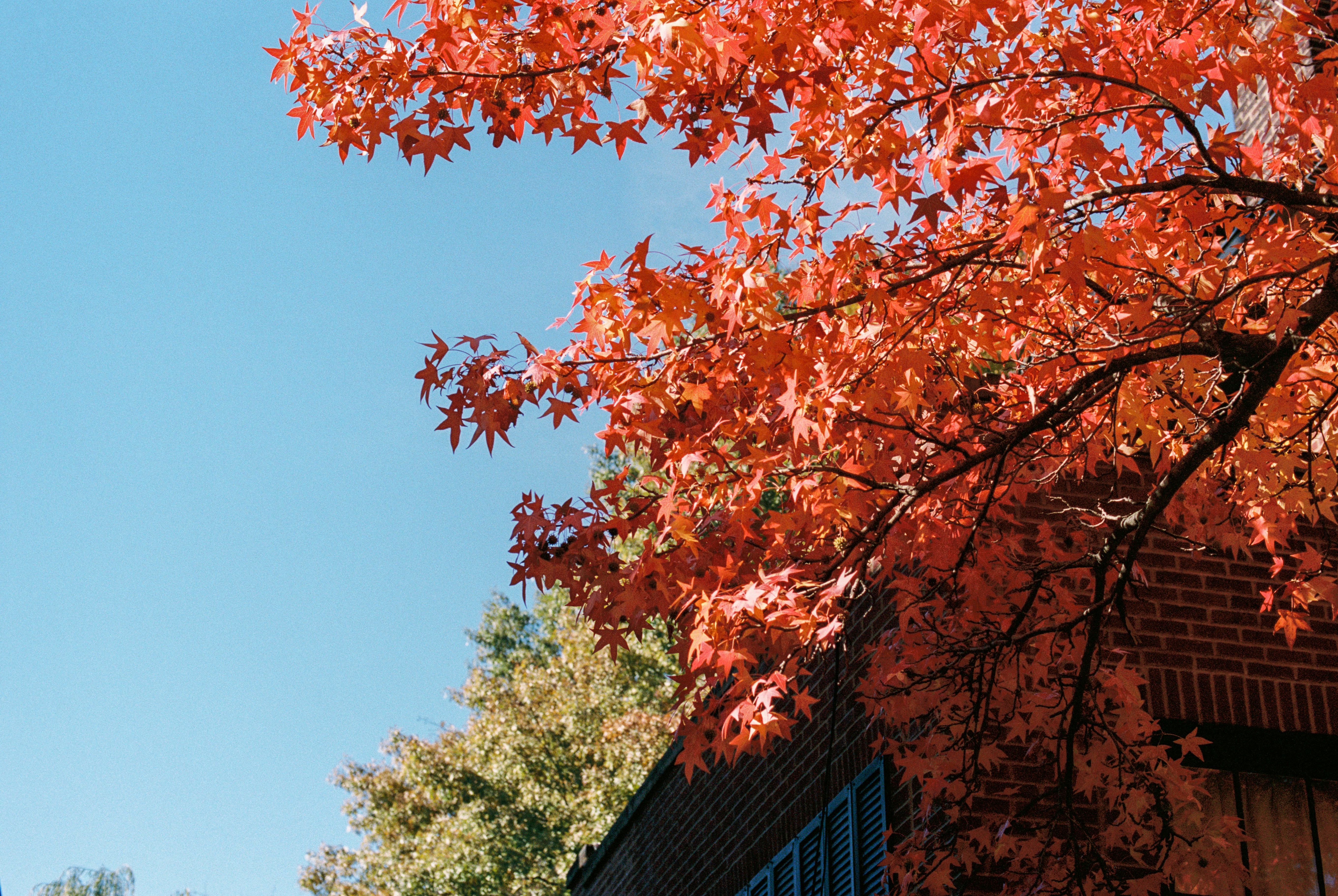 Photo by zhenyao_photo