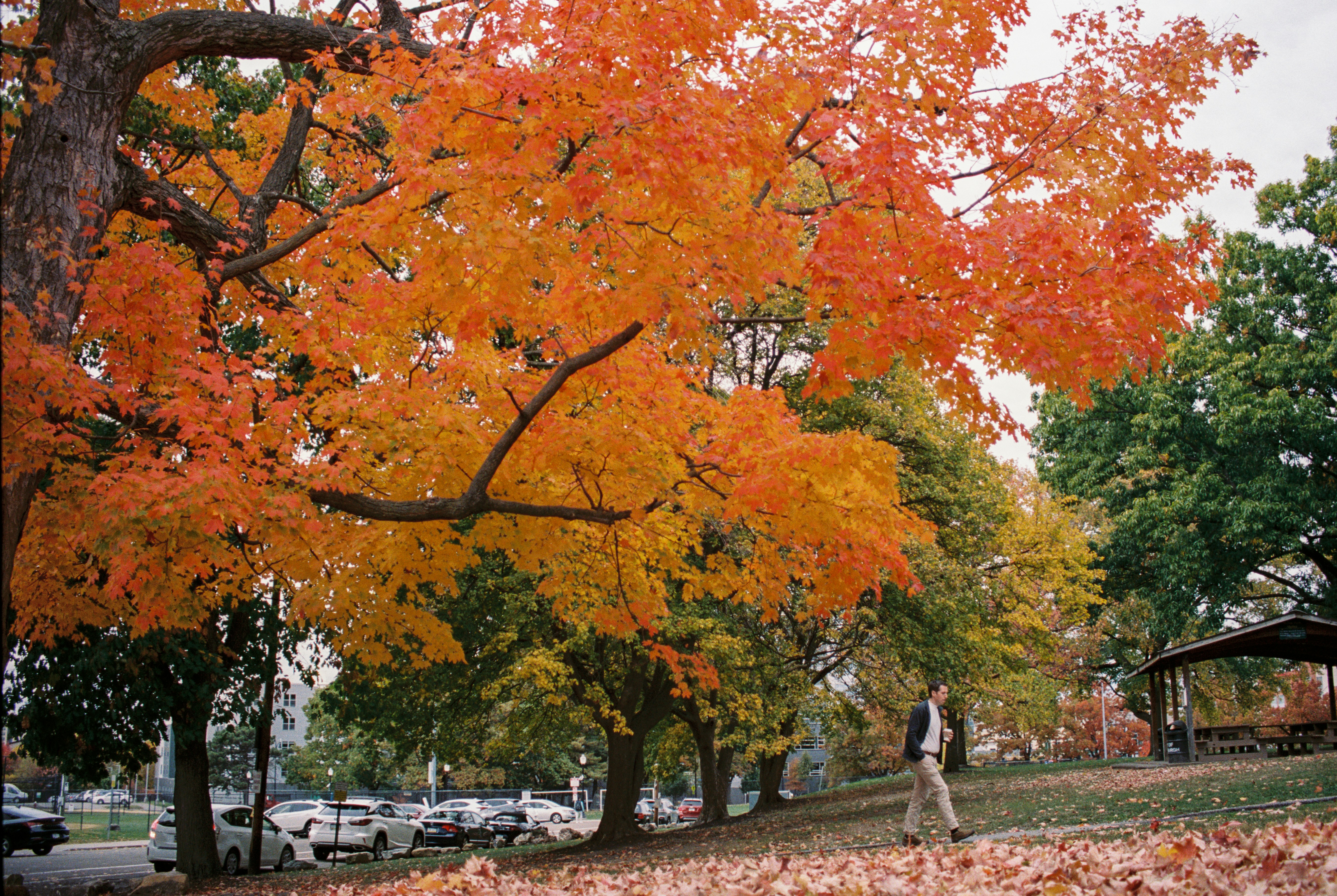 Shot by Nikon F3 with Kodak Portra 400