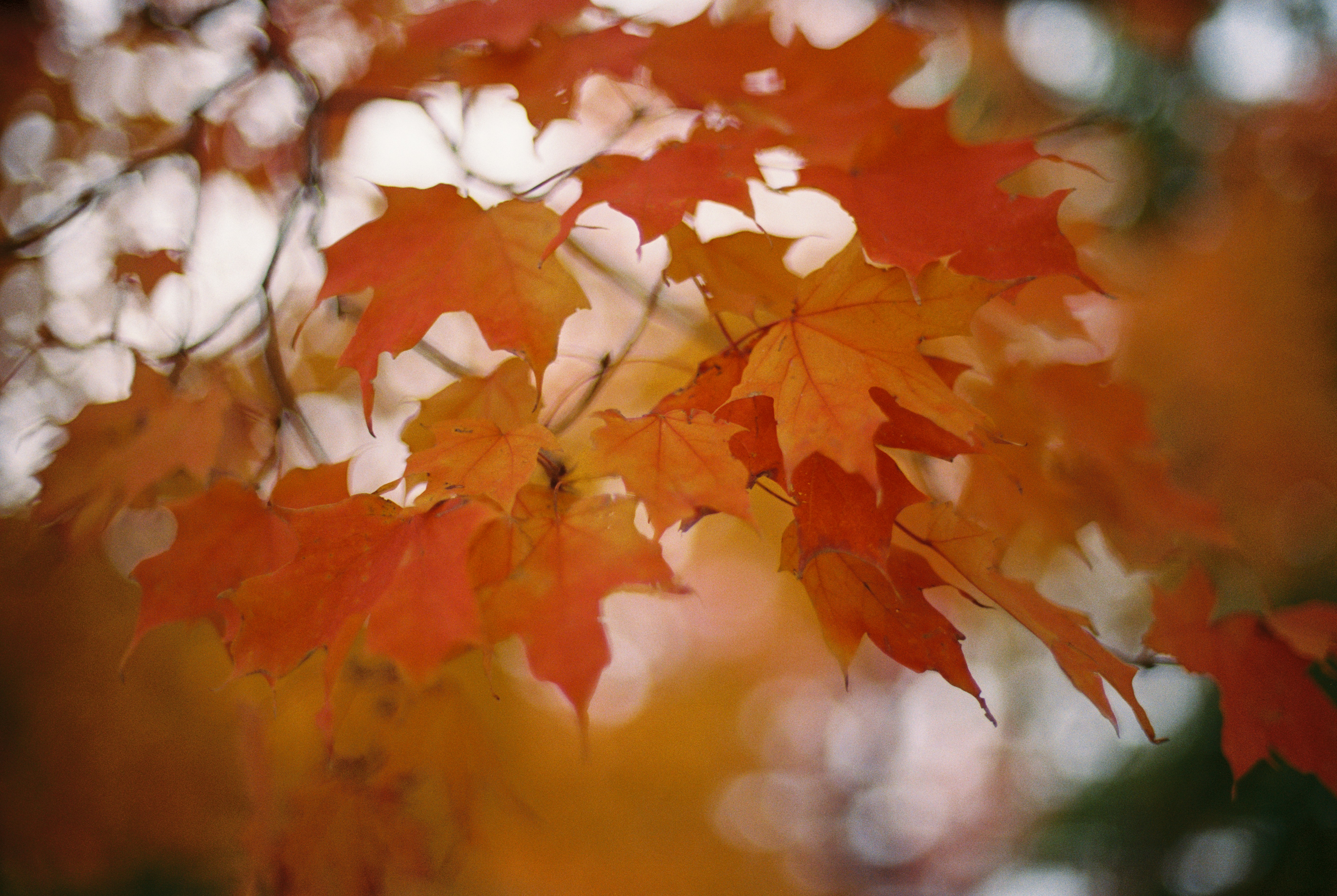 Photo by zhenyao_photo