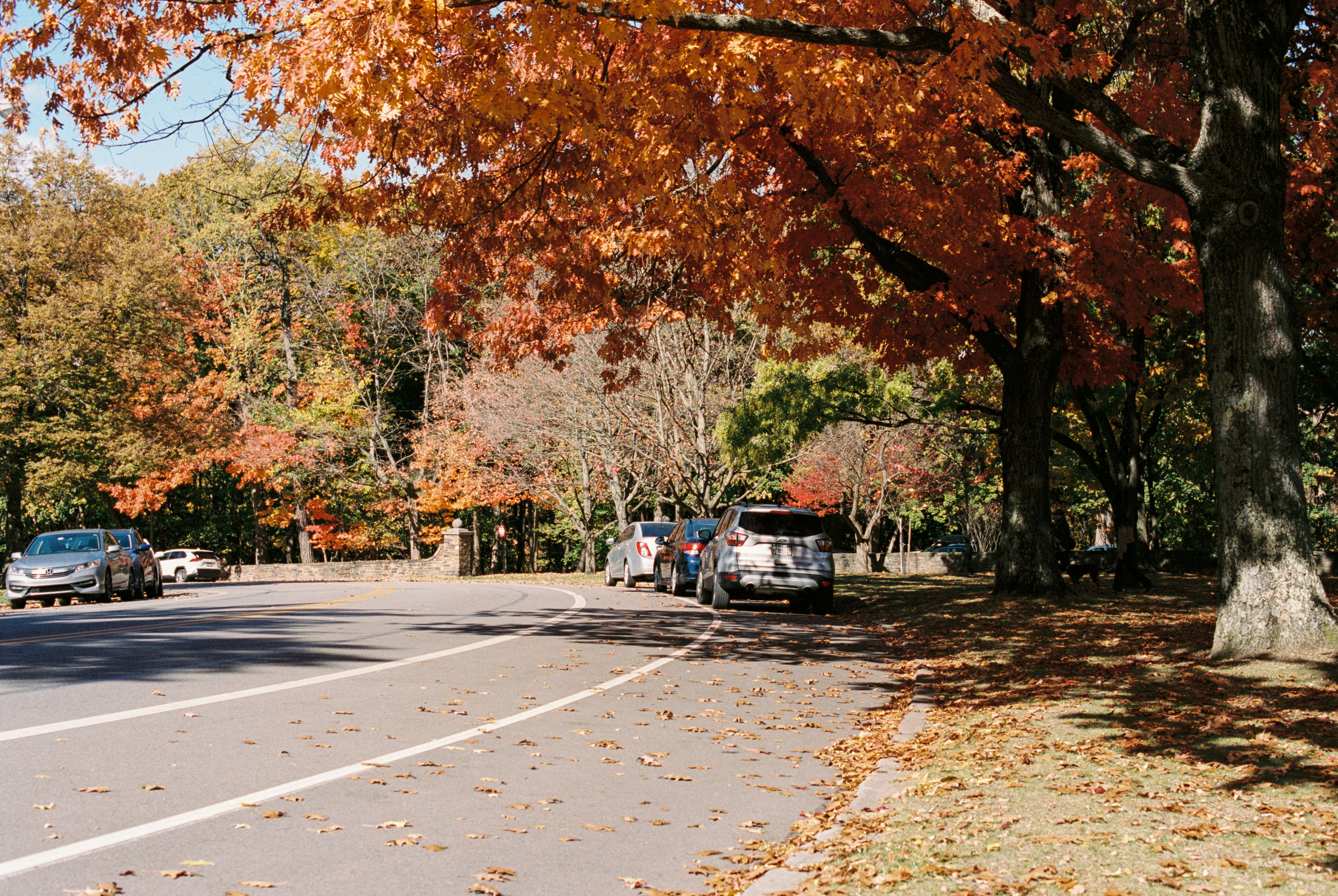 Photo by zhenyao_photo