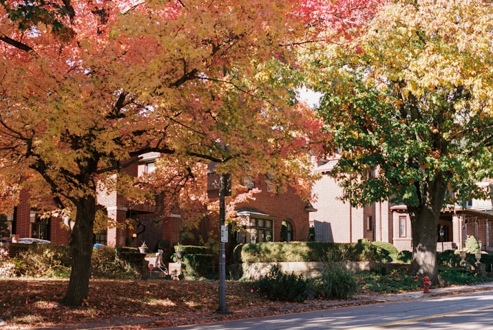 Edgewood College