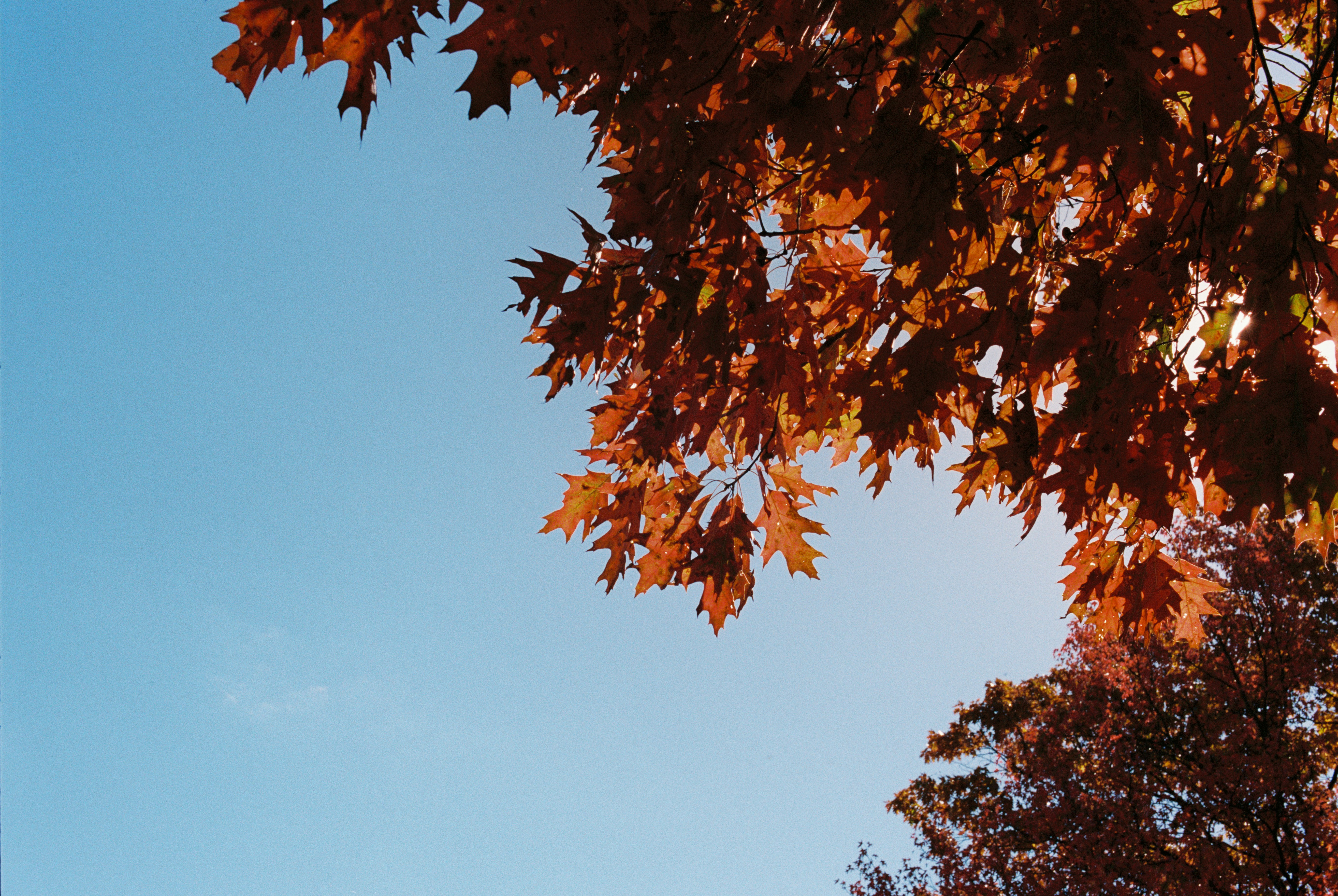 Photo by zhenyao_photo