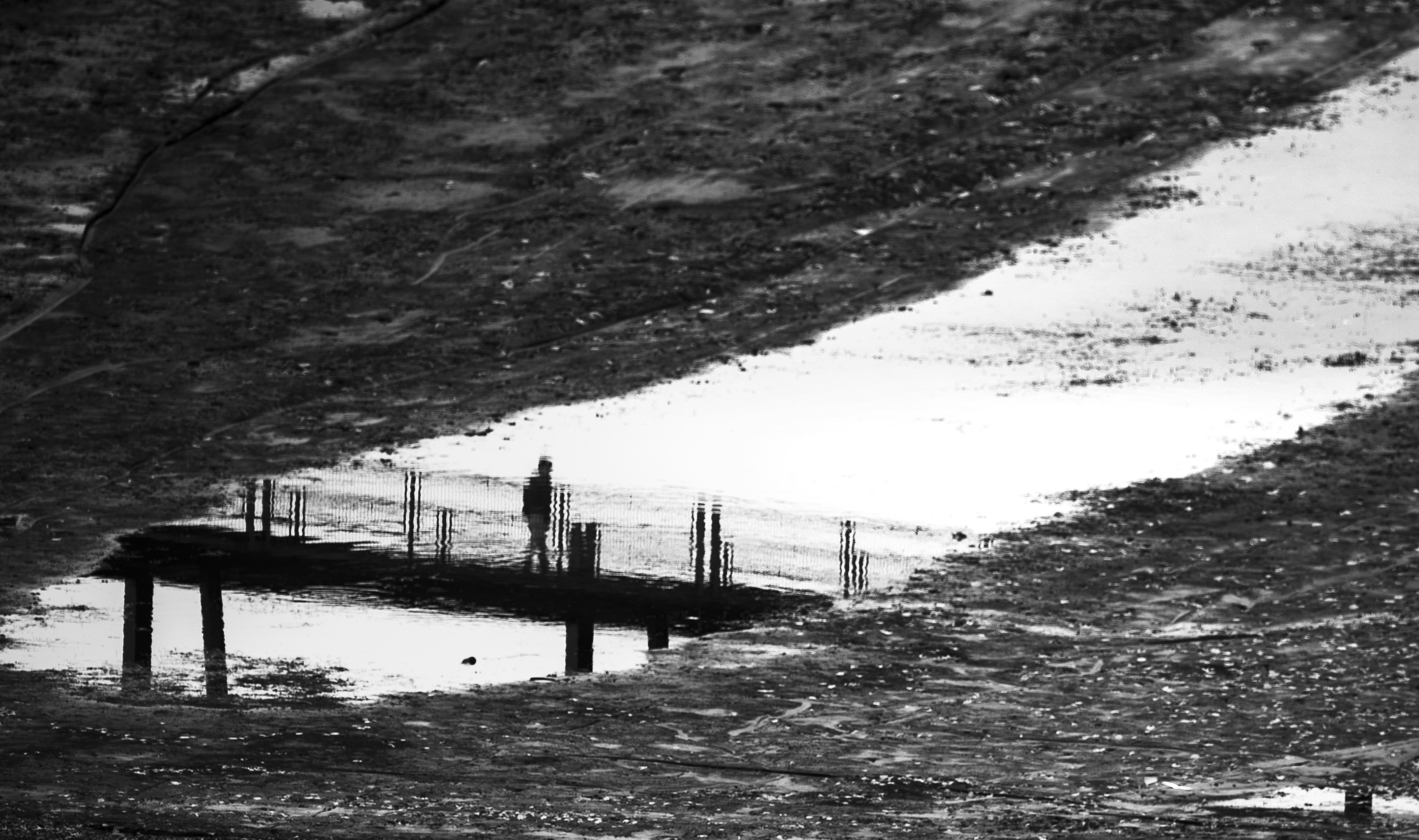 Photo by superxcalvin