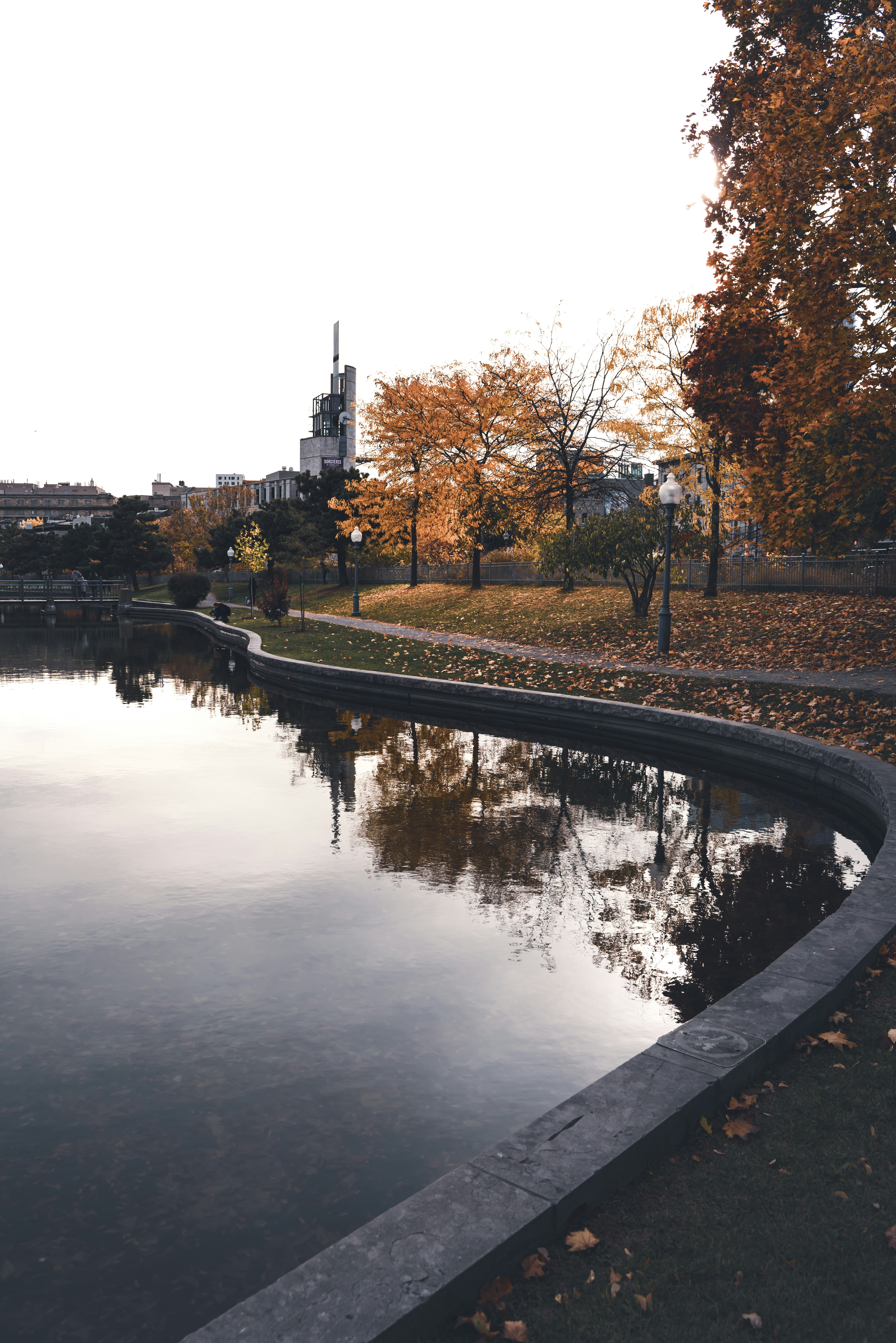 A pond in a park surrounded by trees