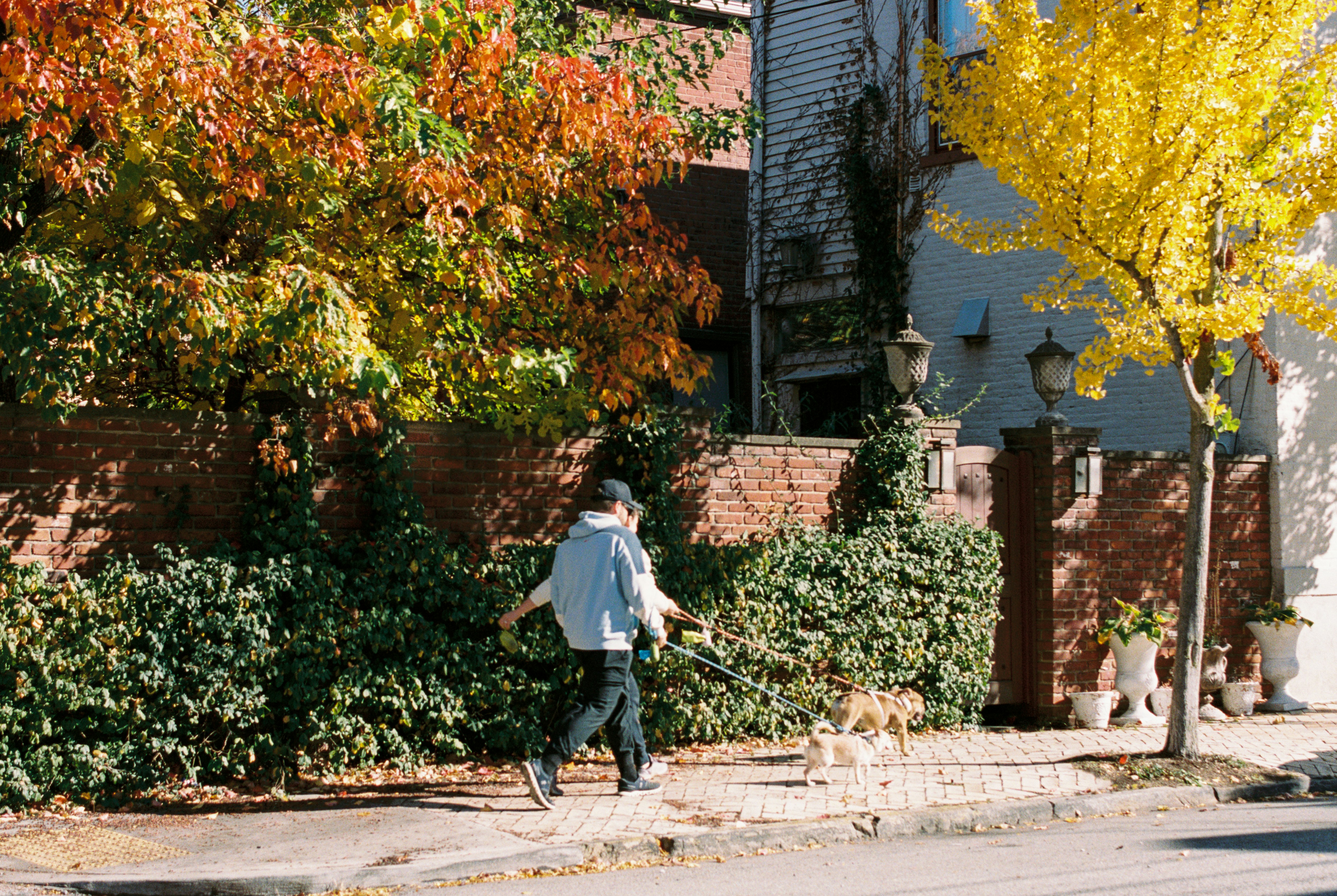 Photo by zhenyao_photo