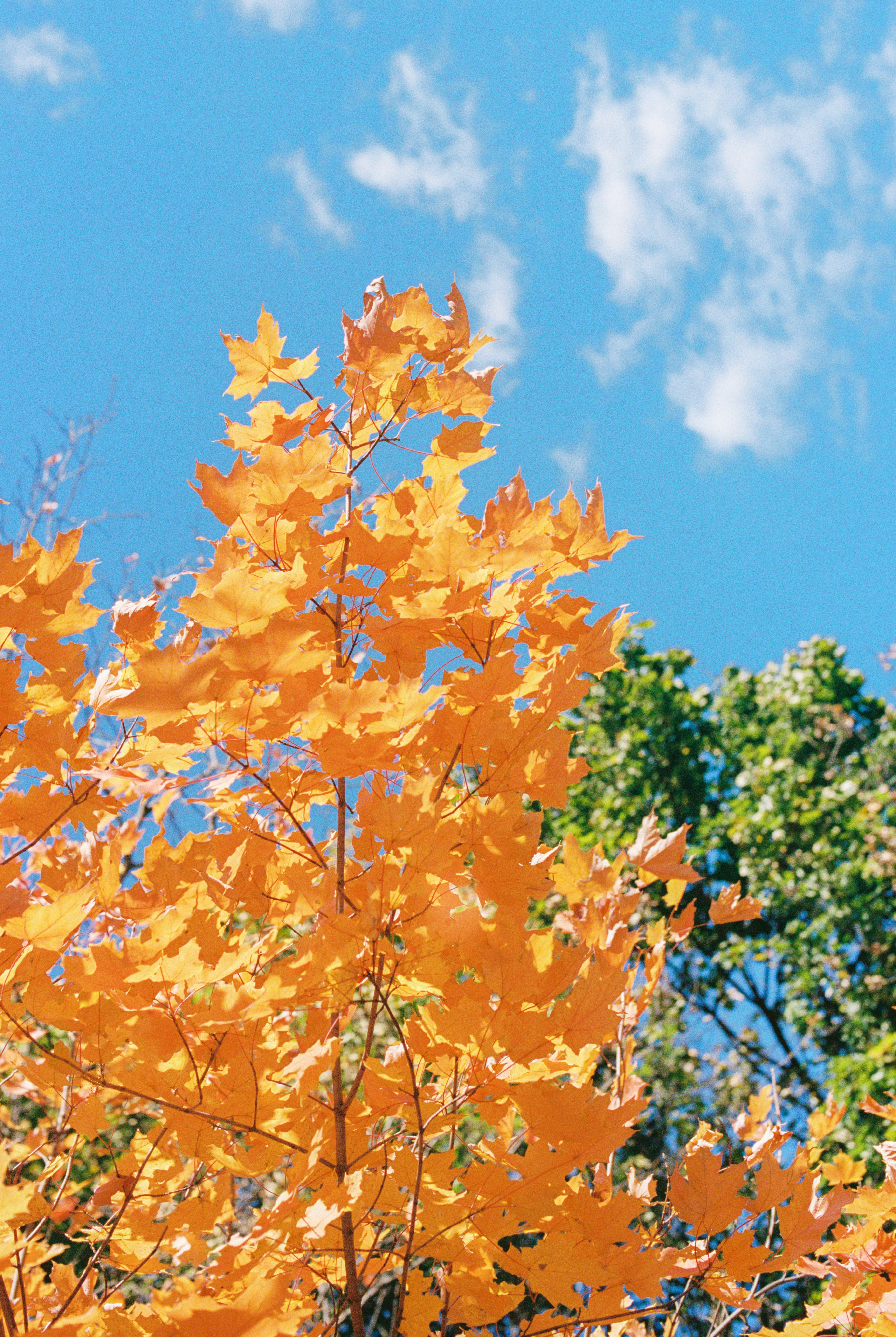 Photo by zhenyao_photo