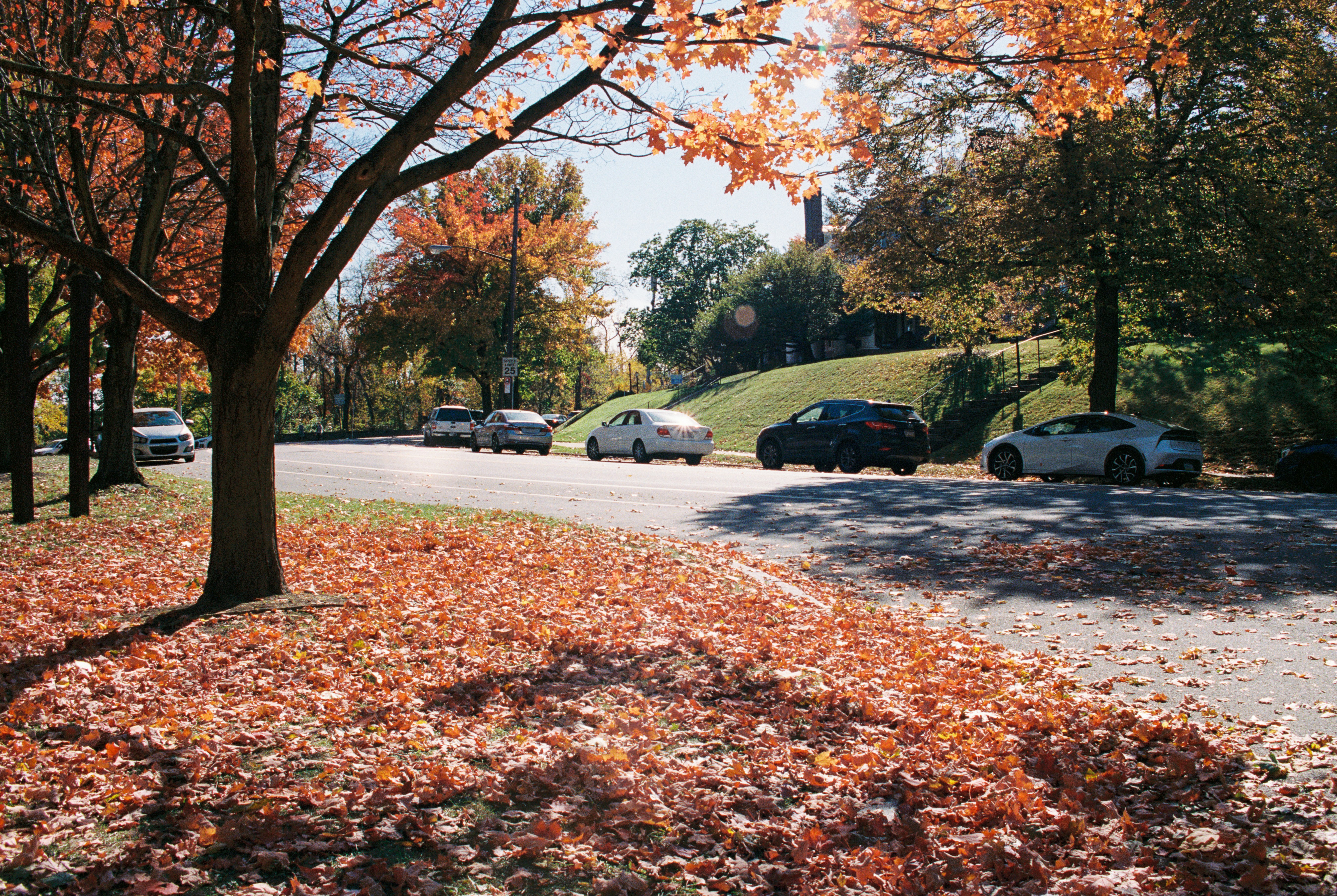 Photo by zhenyao_photo