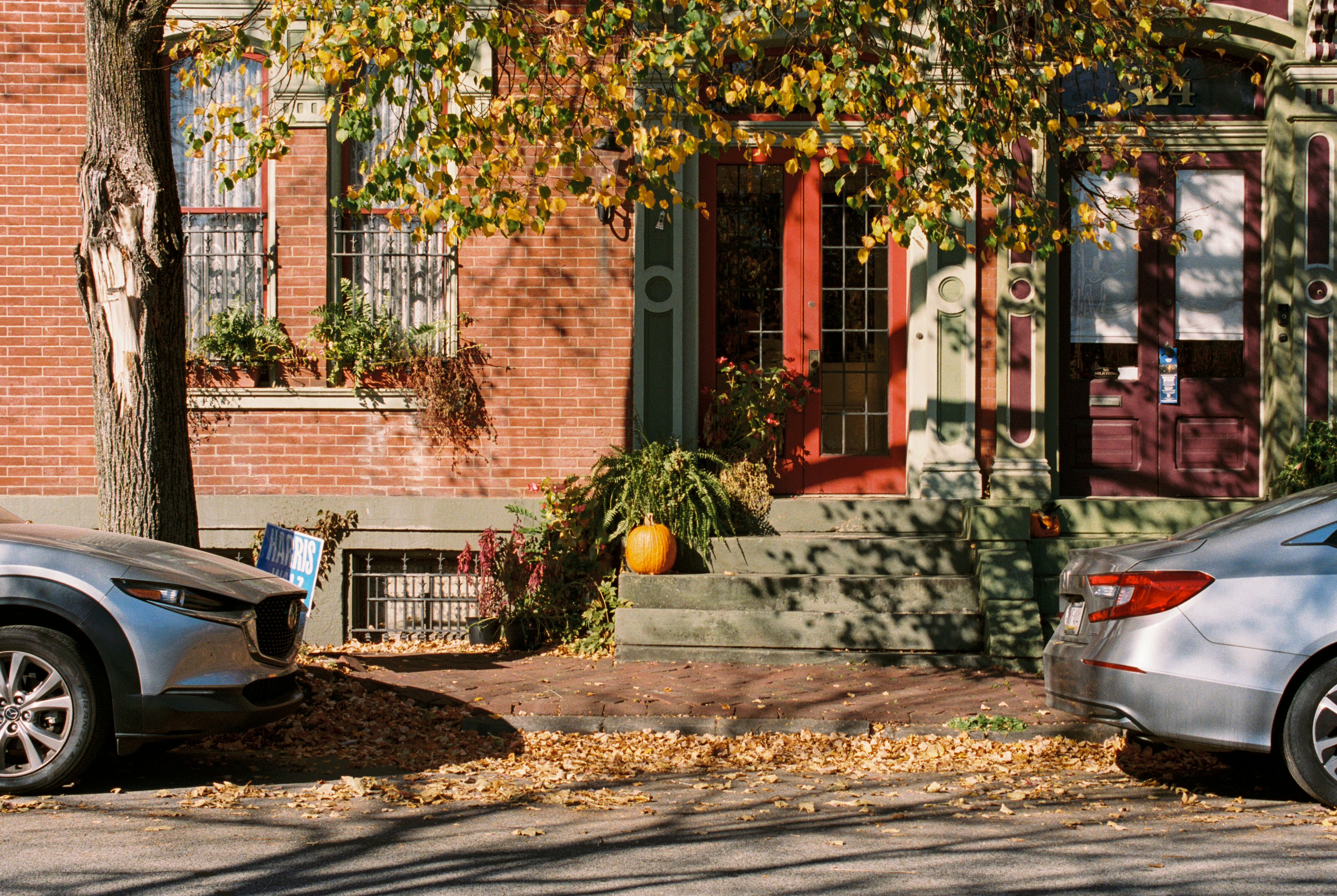 Photo by zhenyao_photo