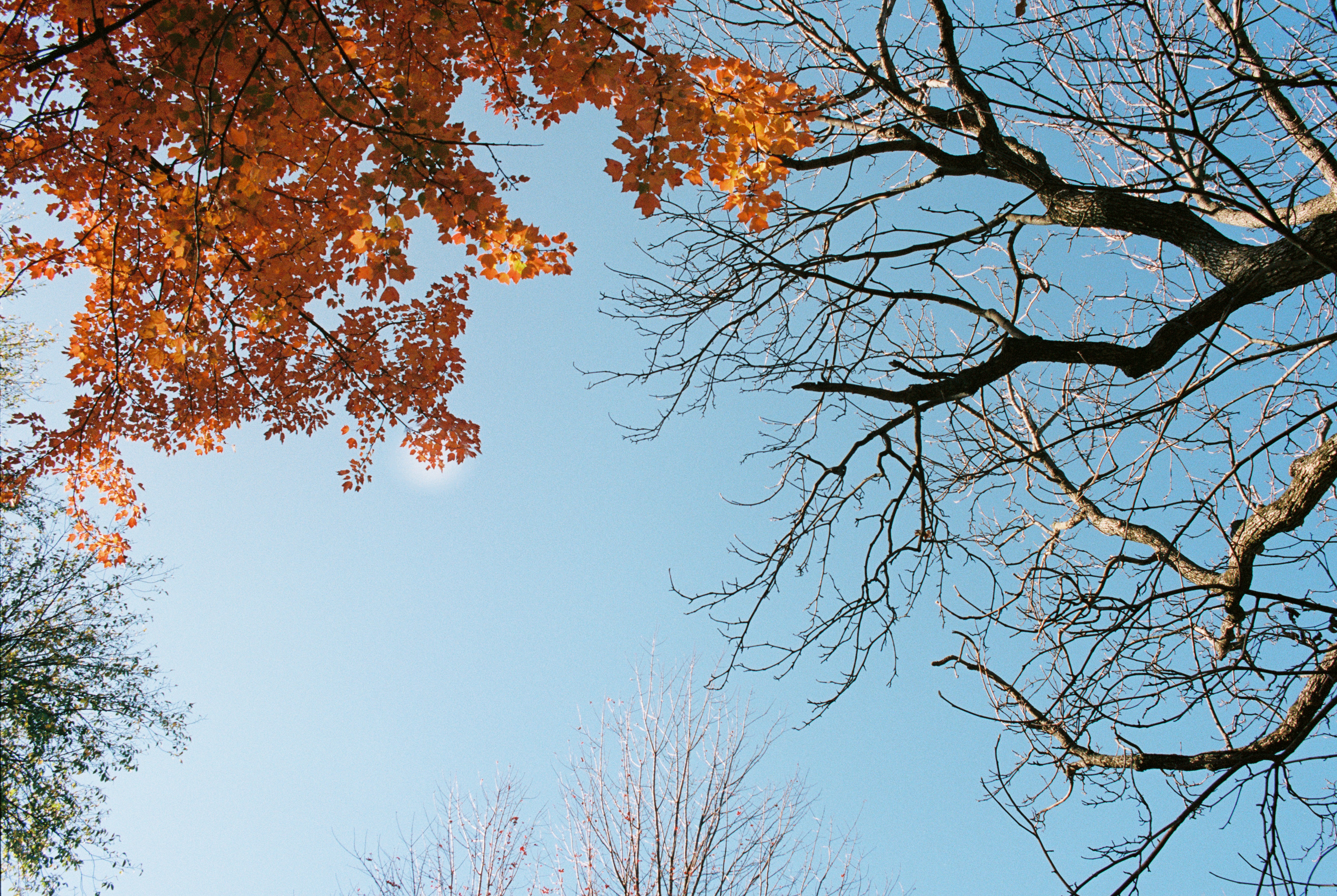 Photo by zhenyao_photo