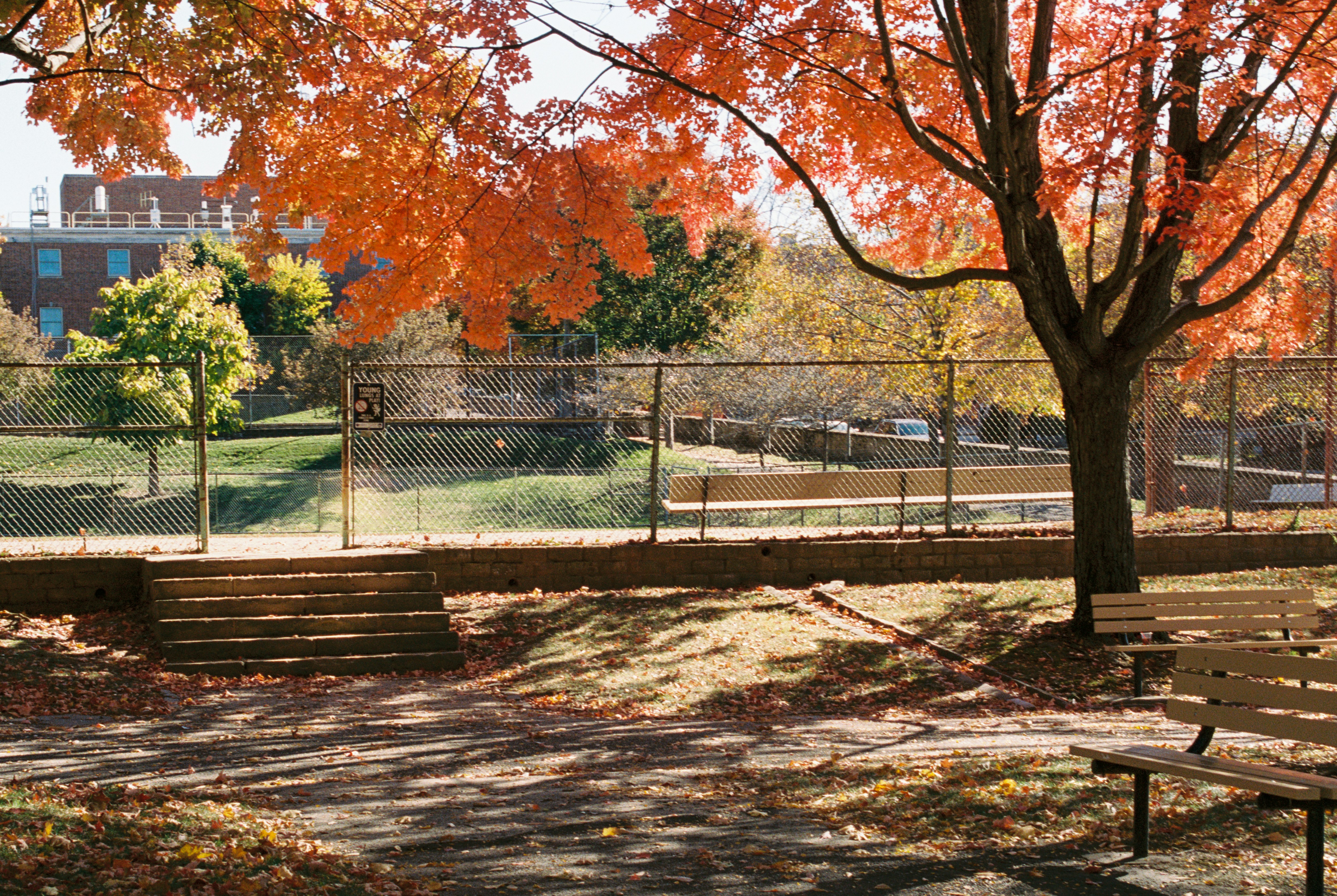 Photo by zhenyao_photo