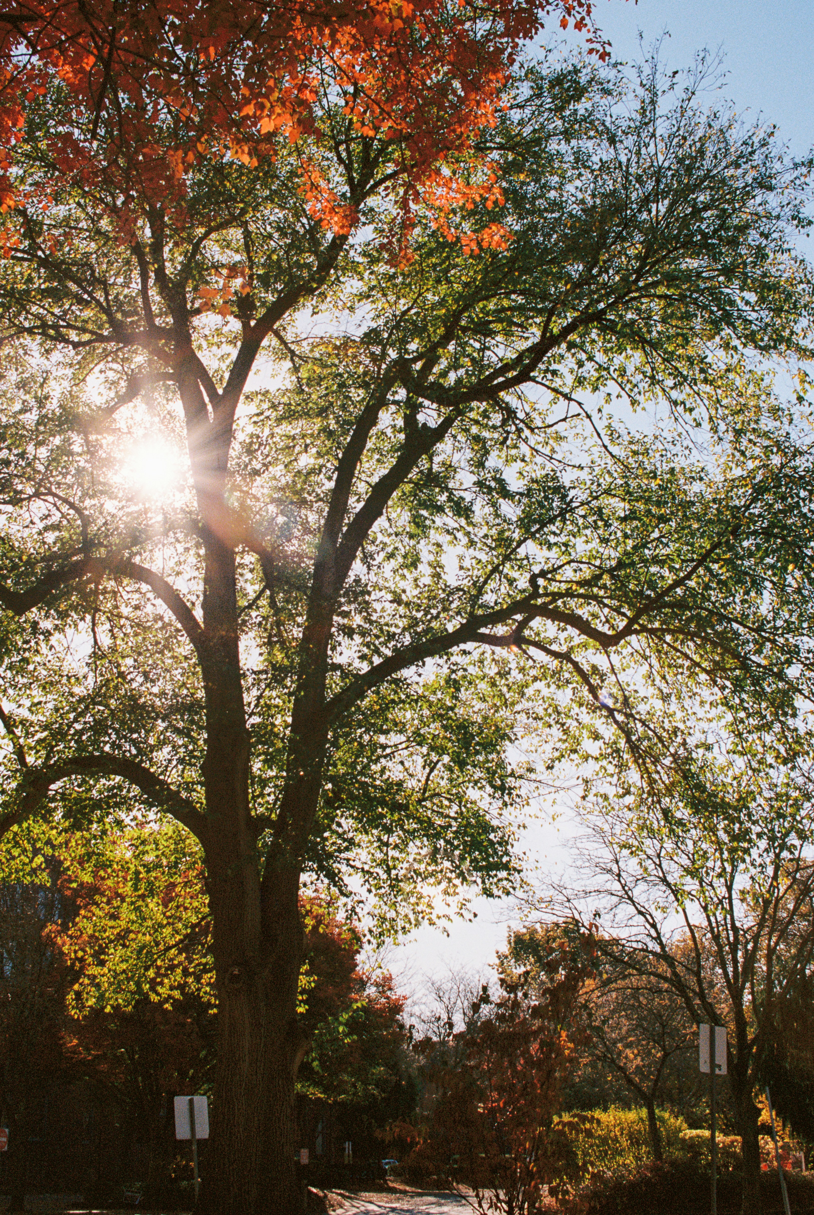 Photo by zhenyao_photo