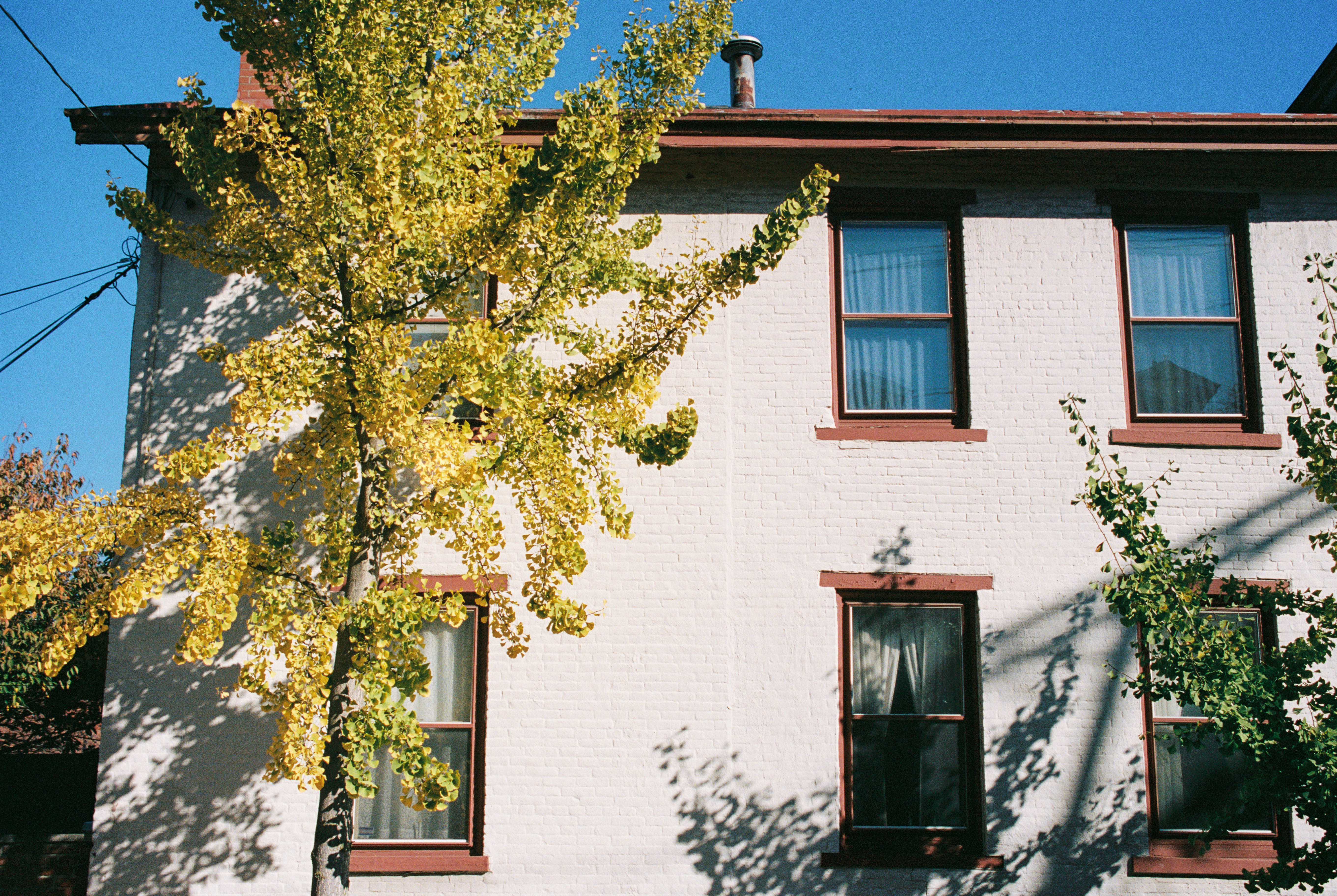 Photo by zhenyao_photo