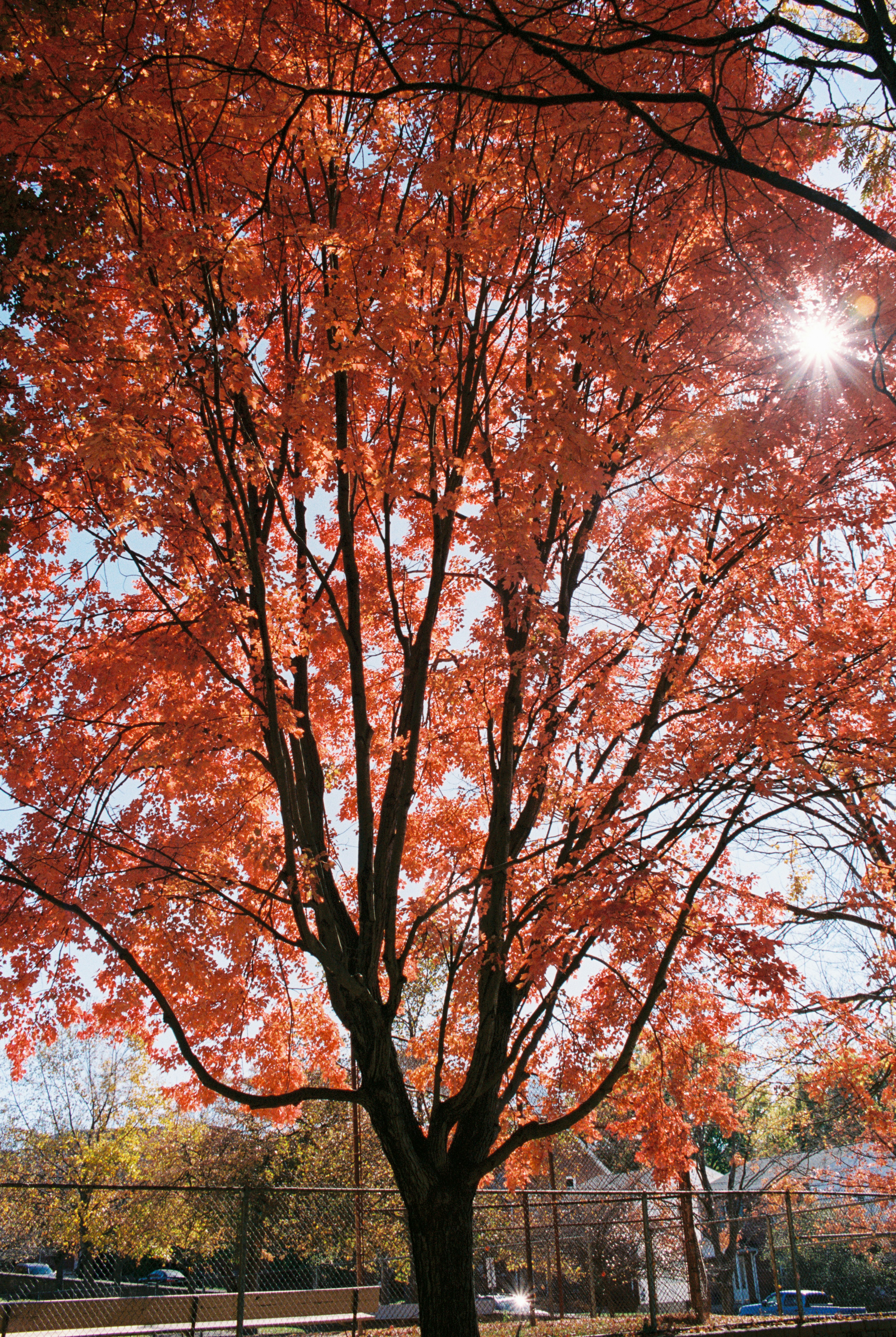 Photo by zhenyao_photo