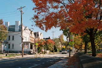 A view of a street in a small town