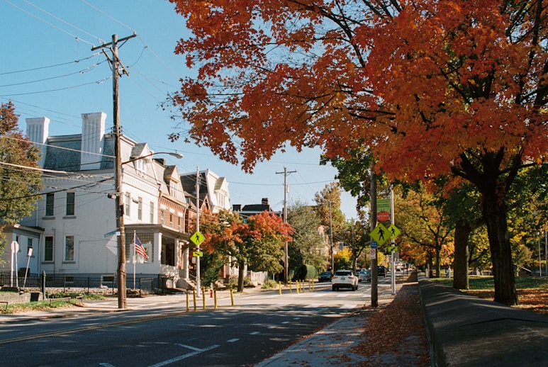 A view of a street in a small town